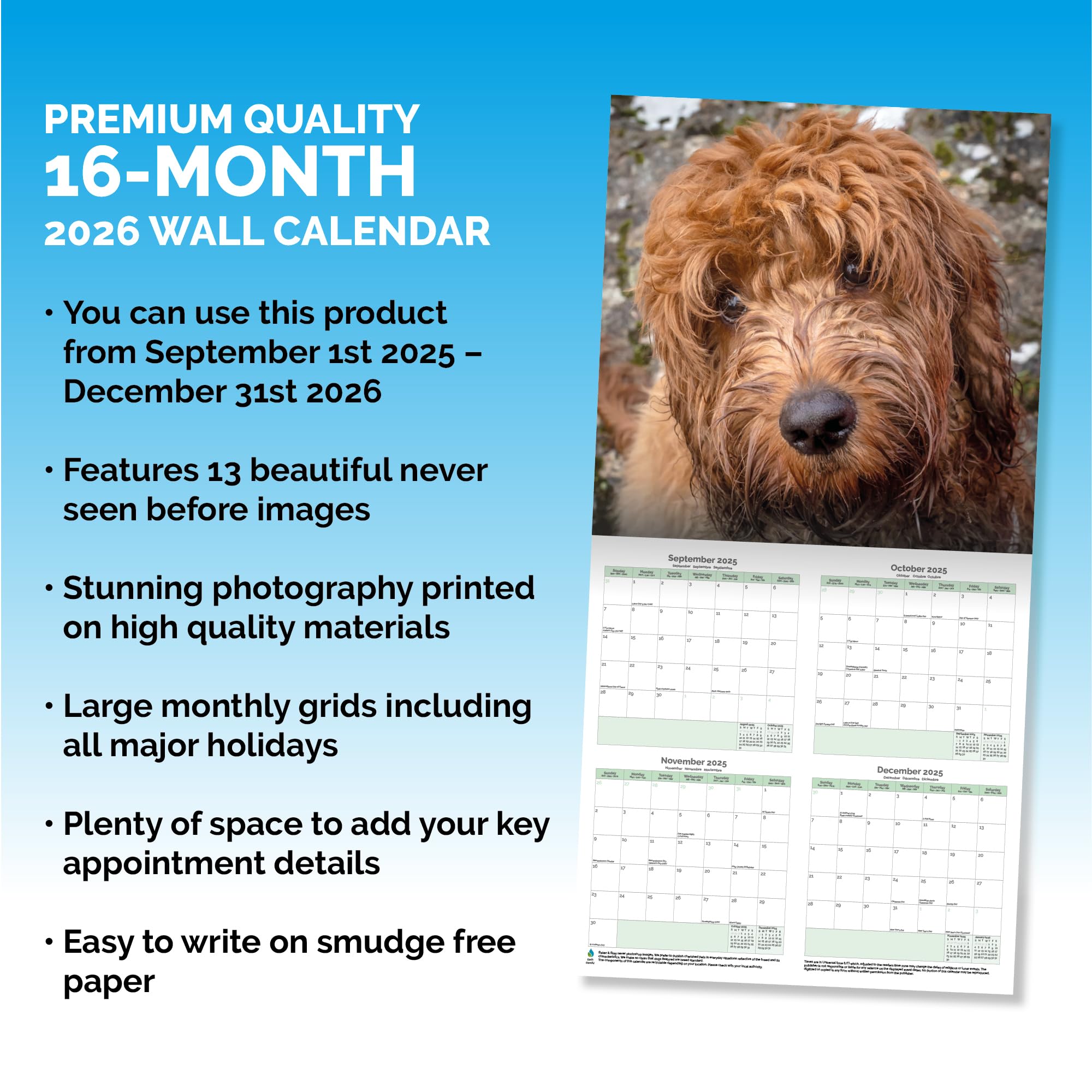 Cockapoo Calendar 2026