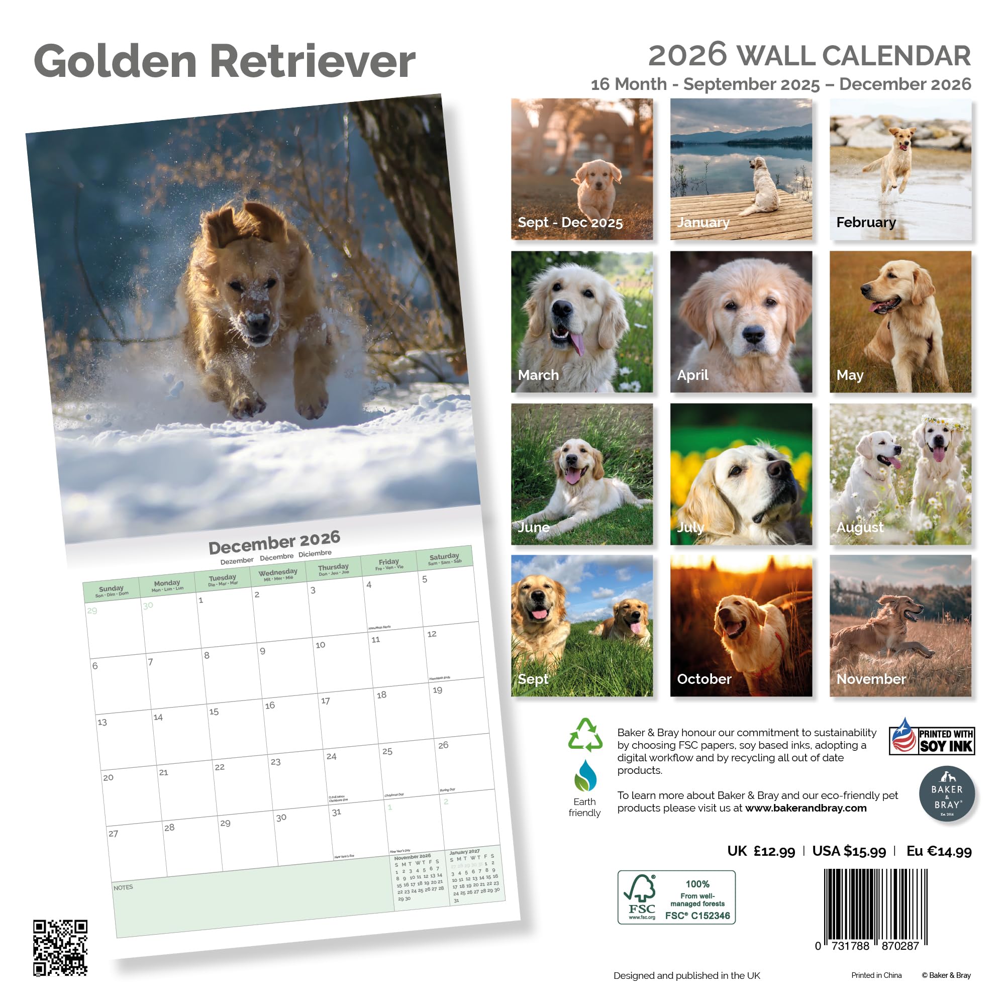 Golden Retriever Calendar 2026