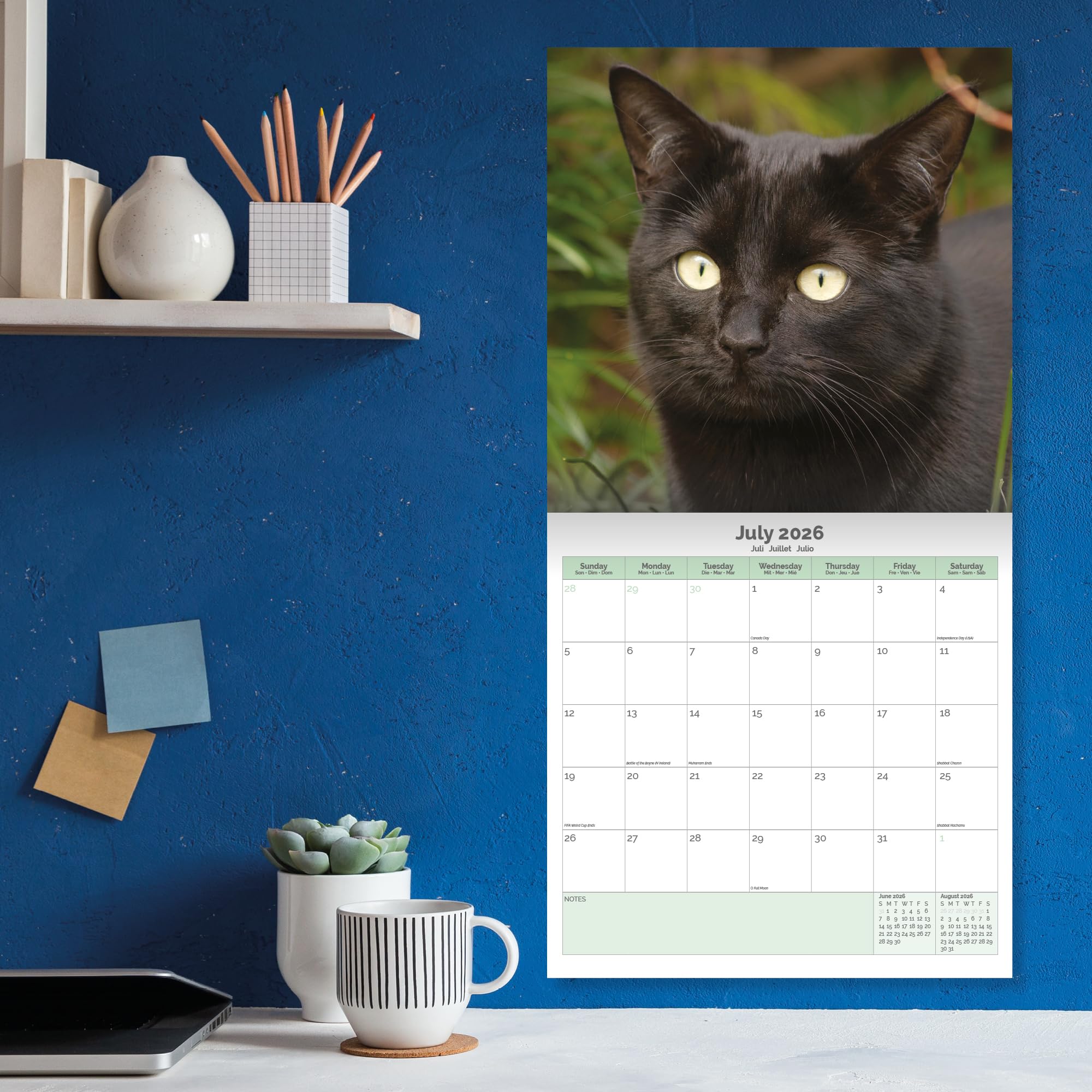 Black Cat Kittens Calendar 2026