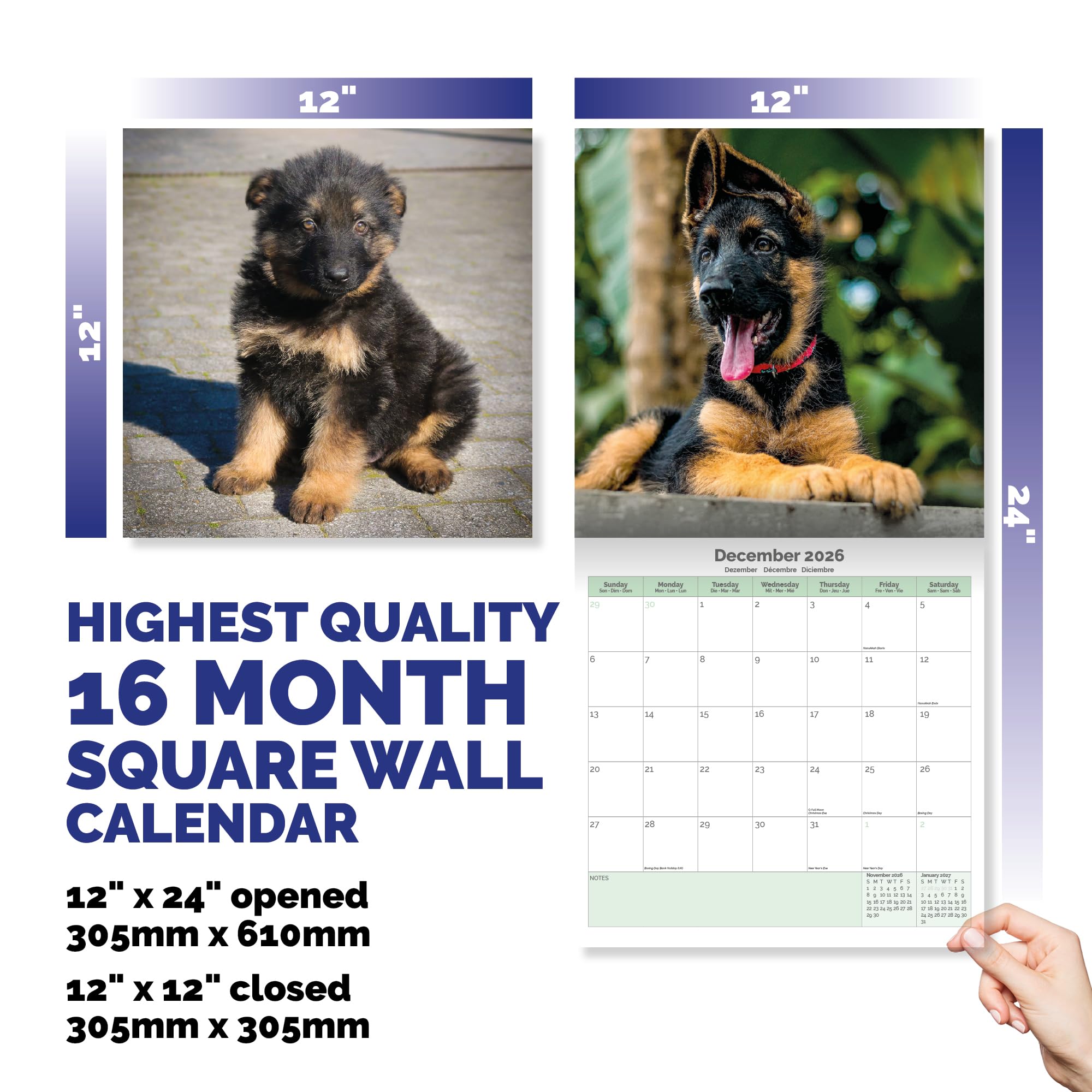 German Shepherd Puppies Calendar 2026