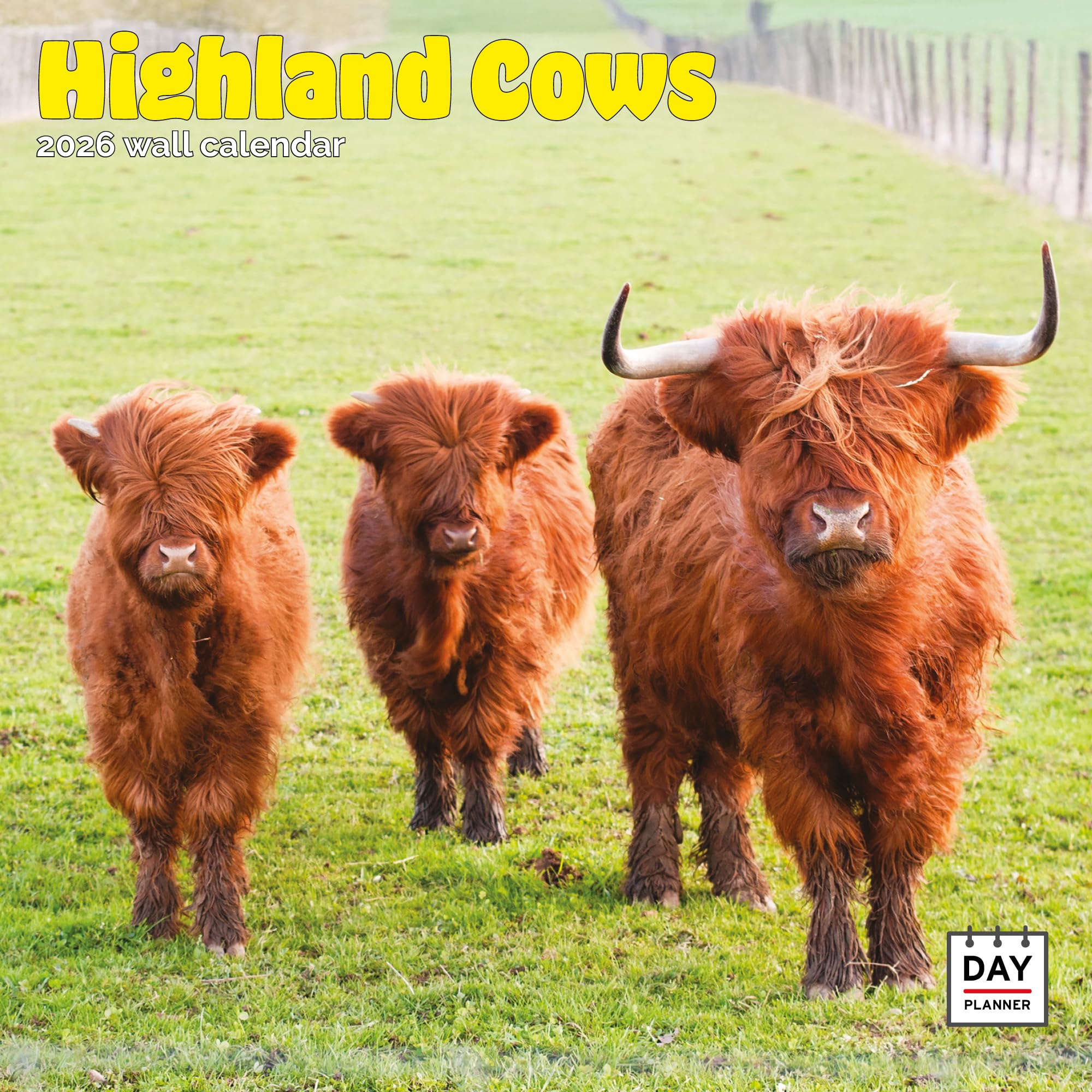 Highland Cows Calendar 2026