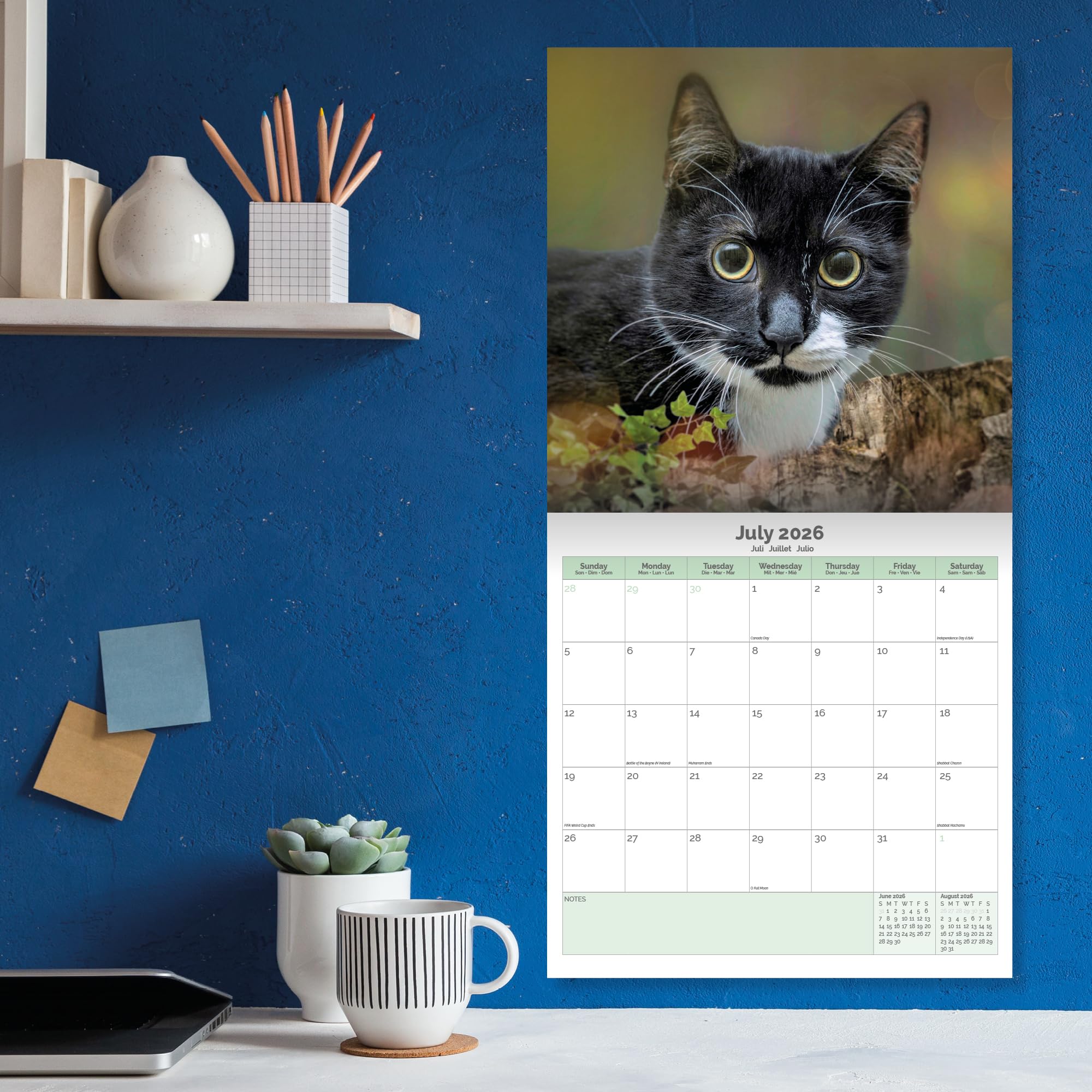 Cats Calendar 2026