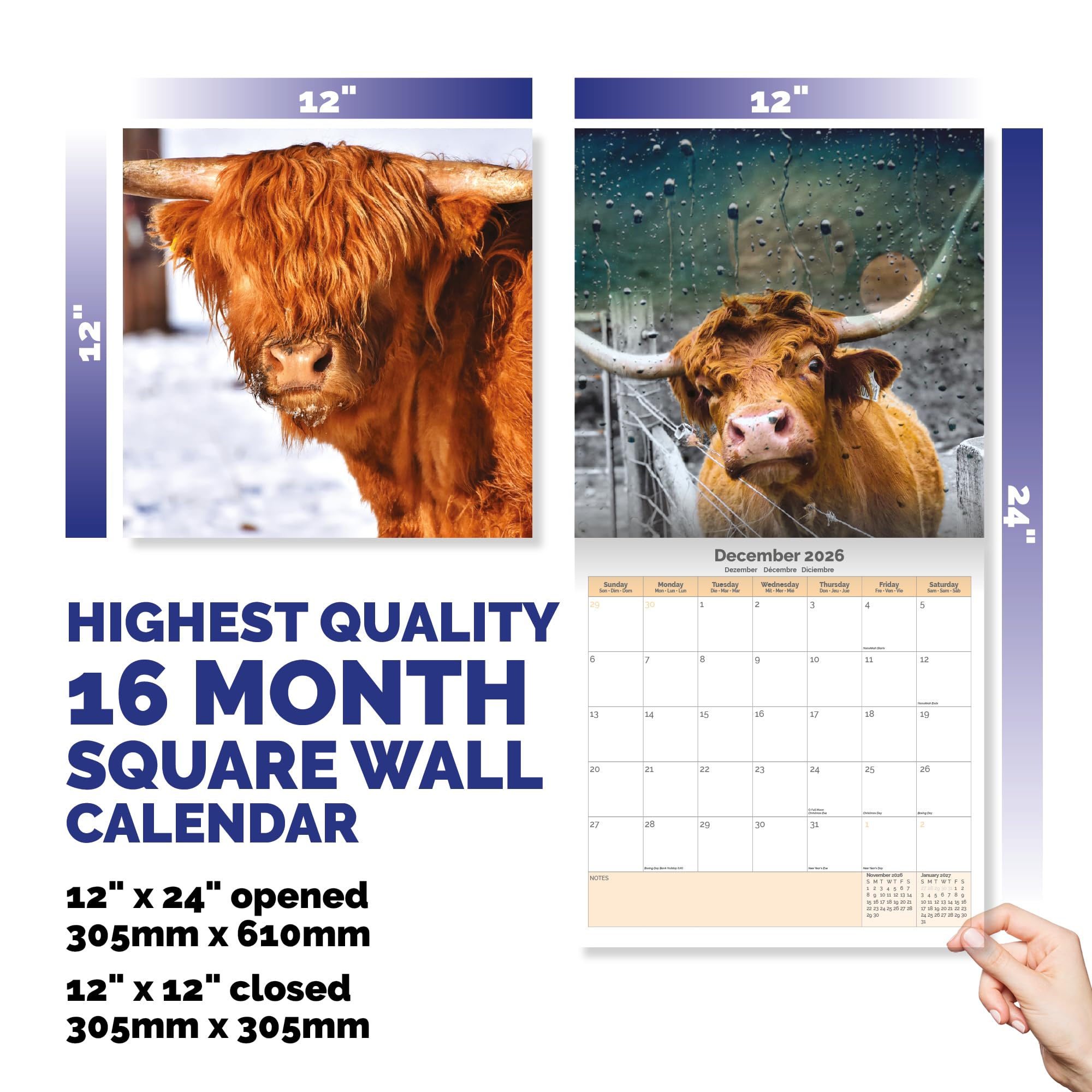 Highland Cows Calendar 2026