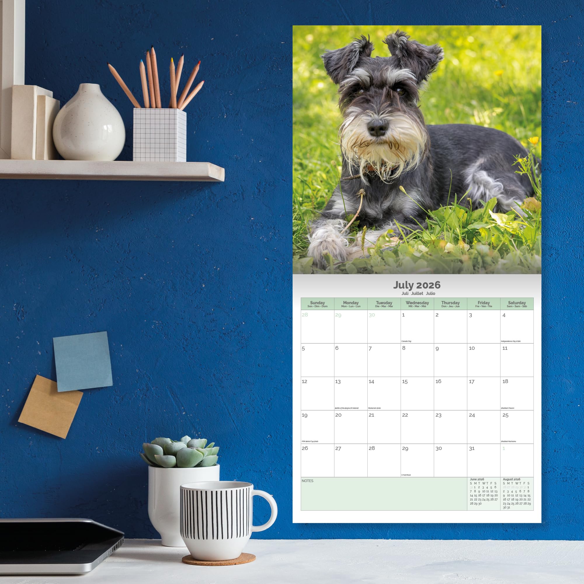 Miniature Schnauzer Calendar 2026