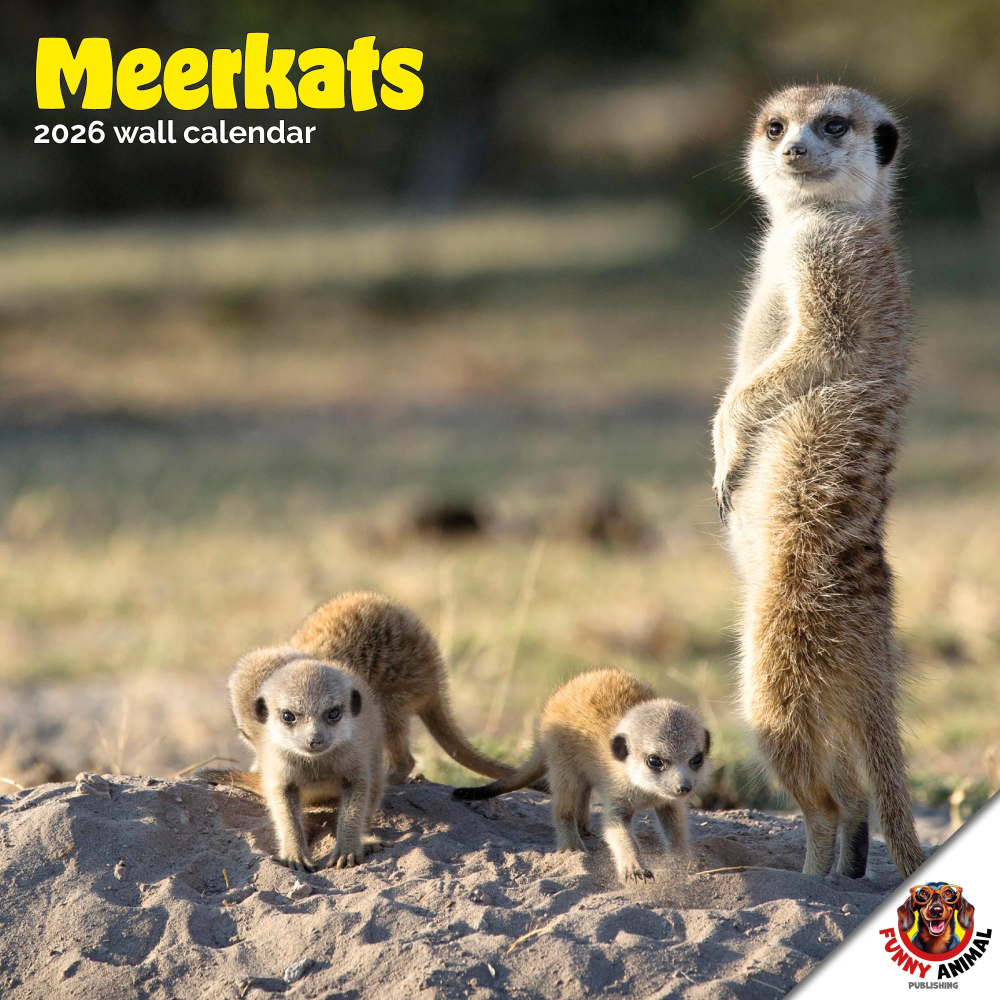 Meerkats Calendar 2026