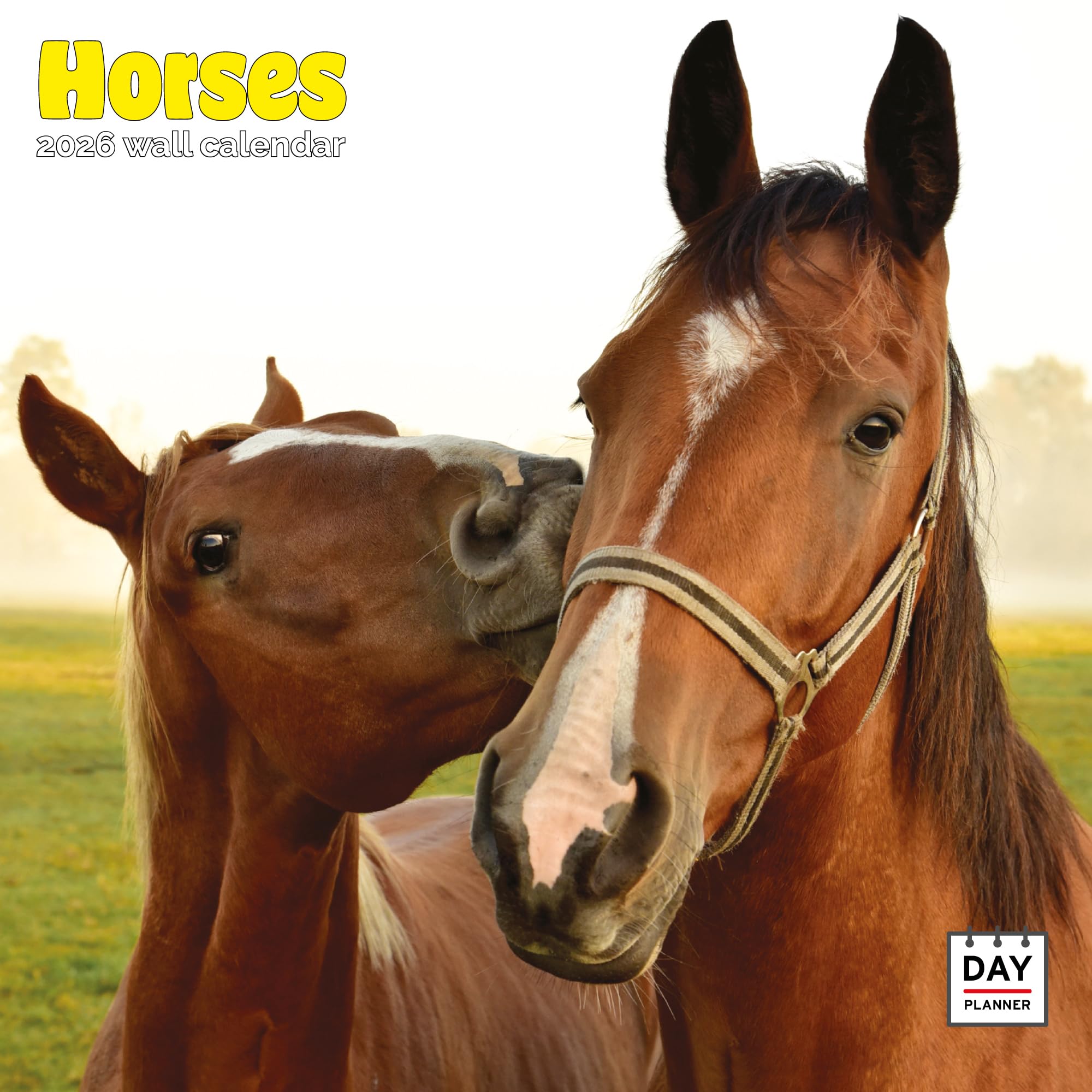 Horses Calendar 2026