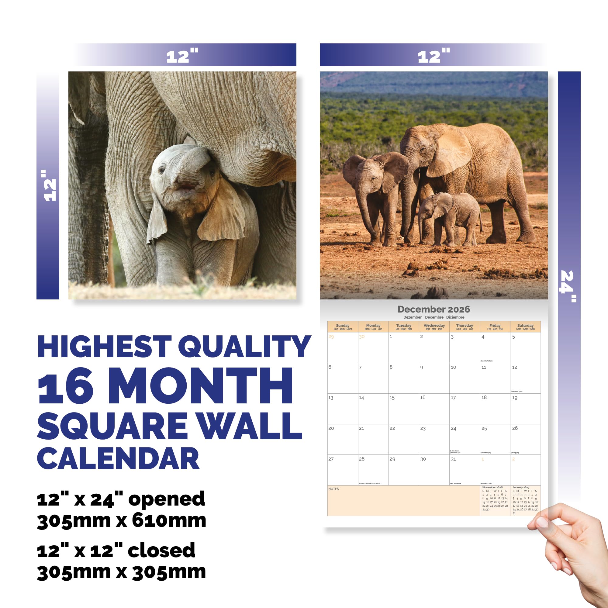 Elephants Calendar 2026