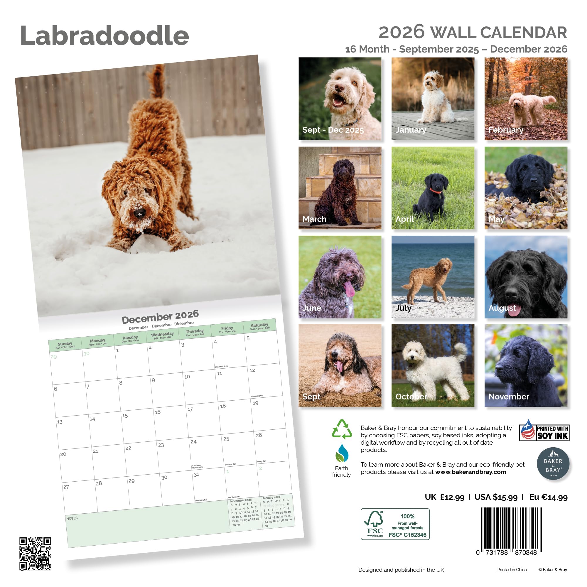 Labradoodle Calendar 2026