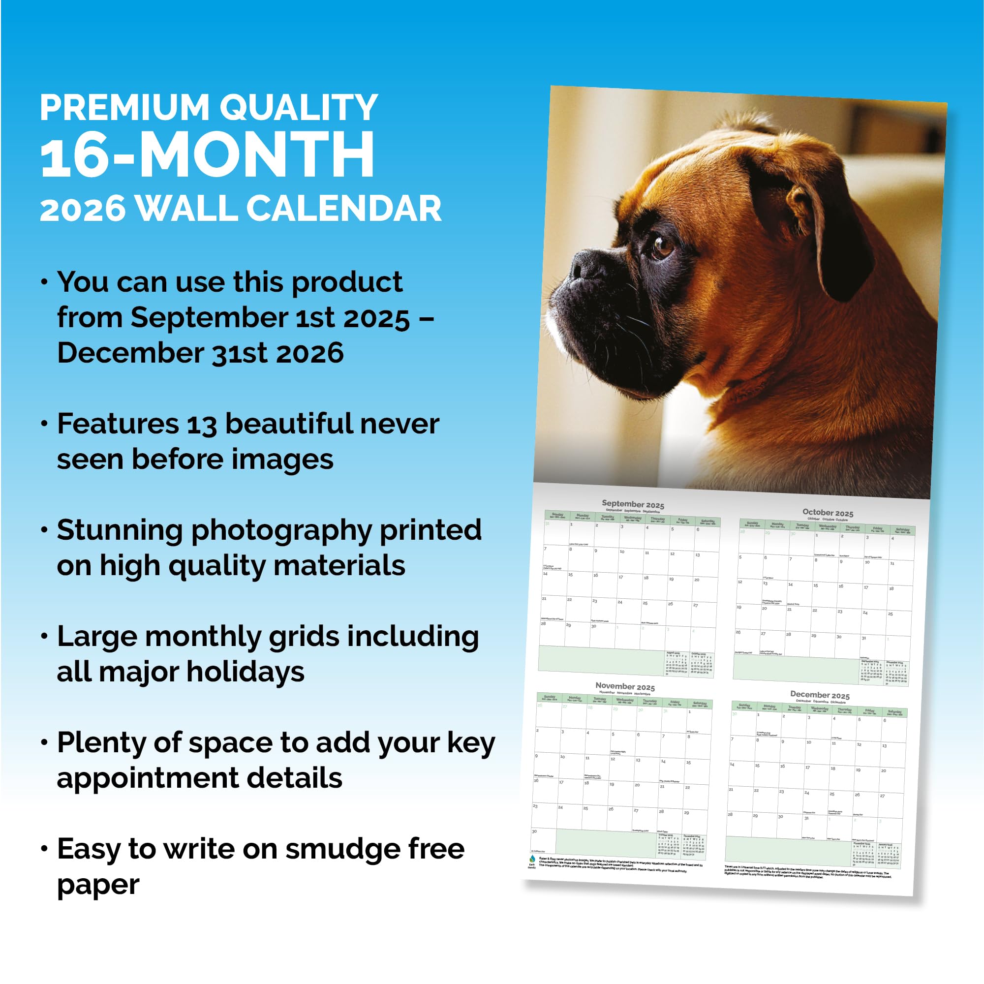 Boxer Dog Calendar 2026