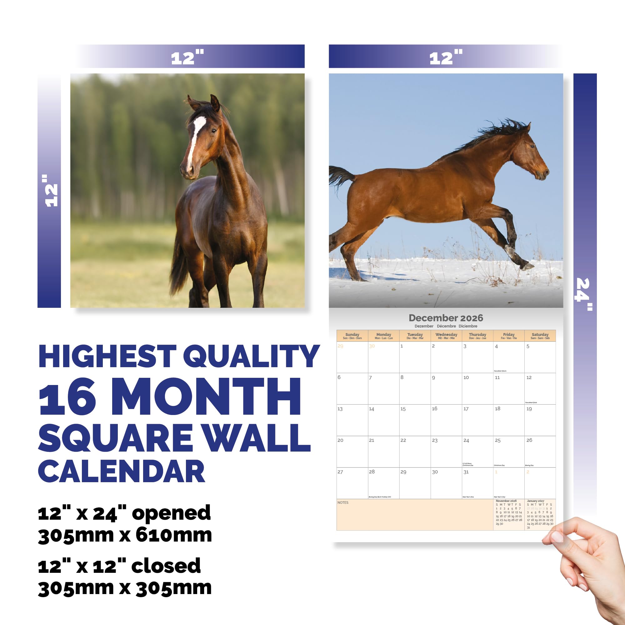 Horses Calendar 2026