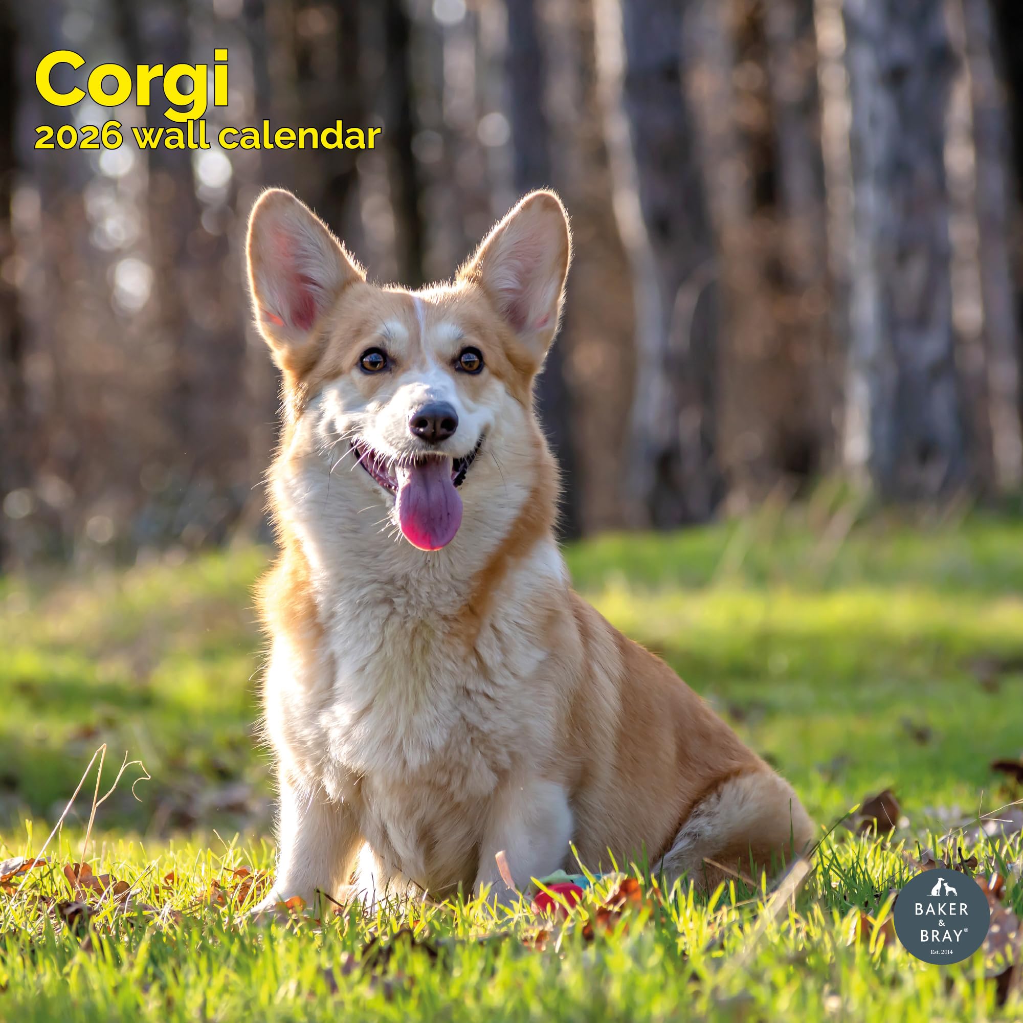 Corgi Calendar 2026