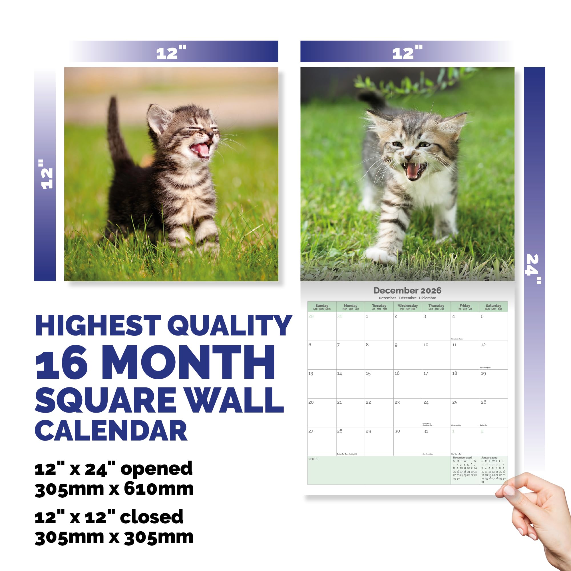 Kittens Calendar 2026
