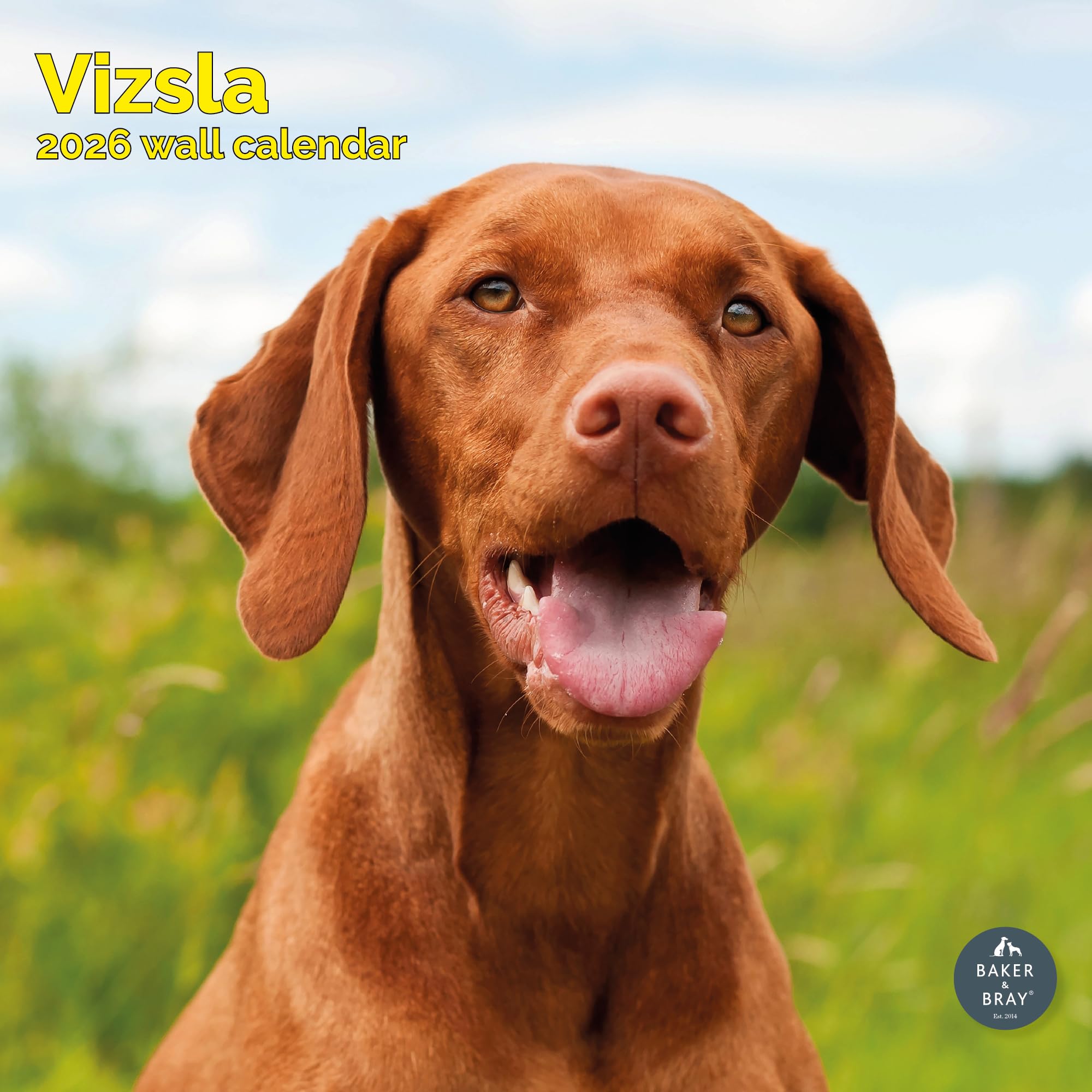 Vizsla Calendar 2026