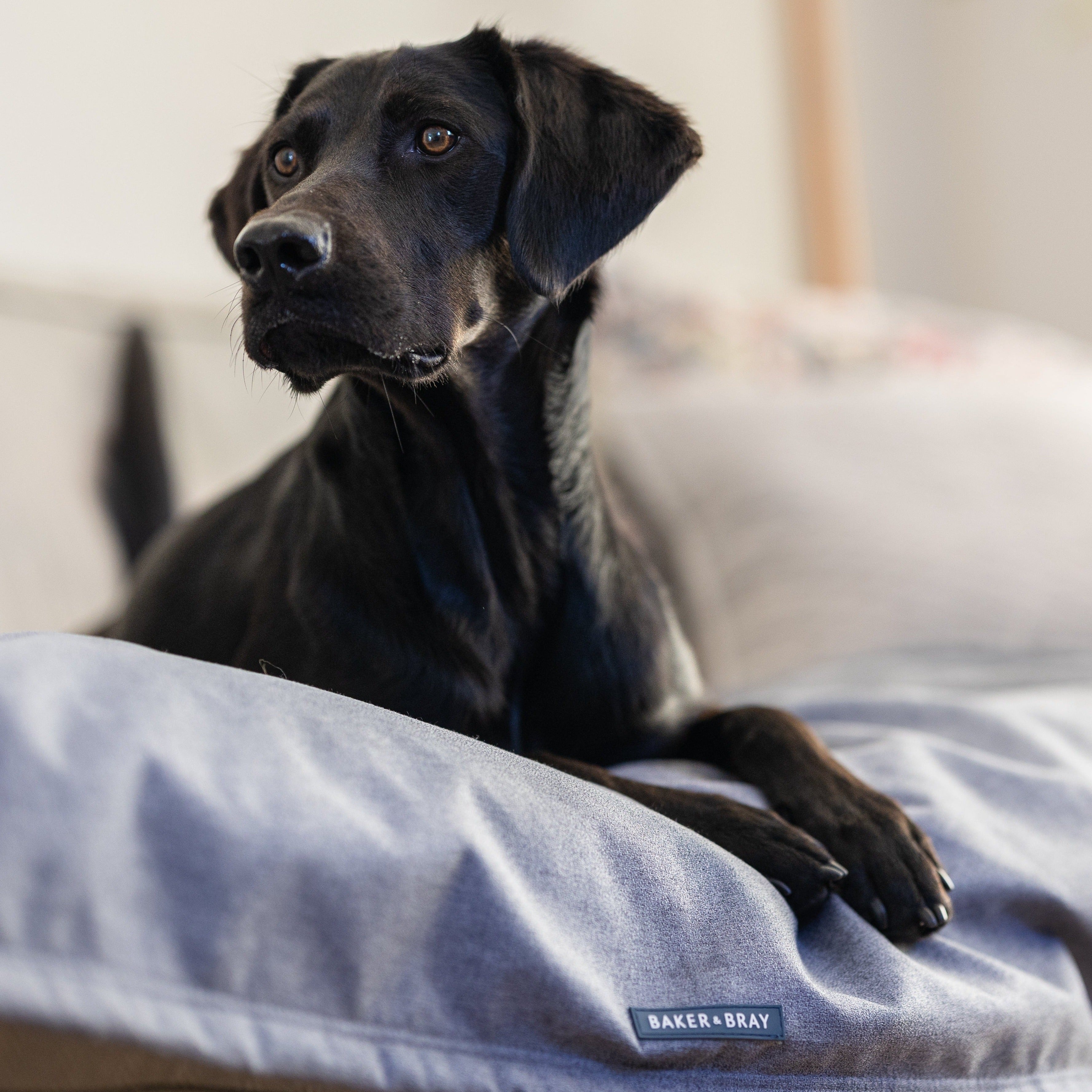 Luxury Temperature Regulating Throw Dog Blanket