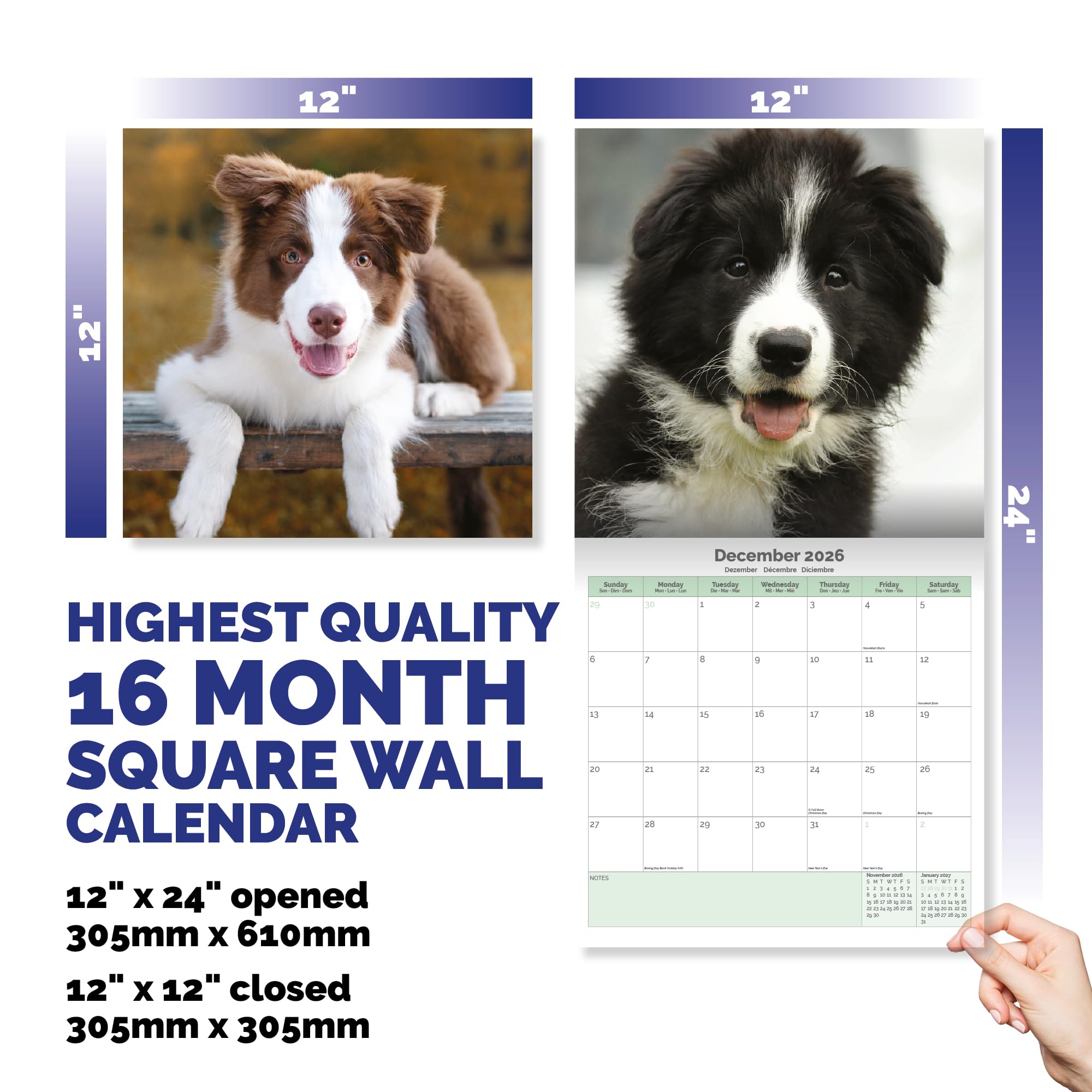 Border Collie Puppies Calendar 2026