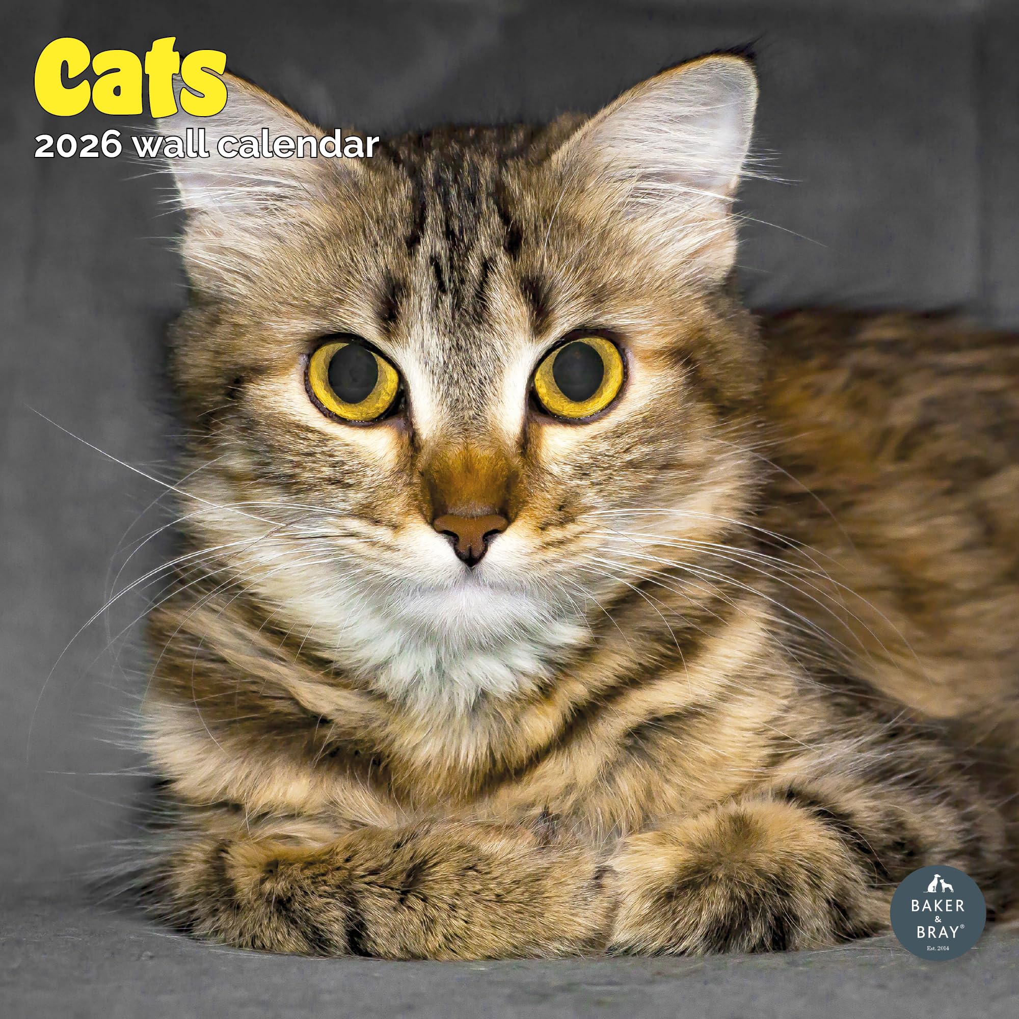 Cats Calendar 2026
