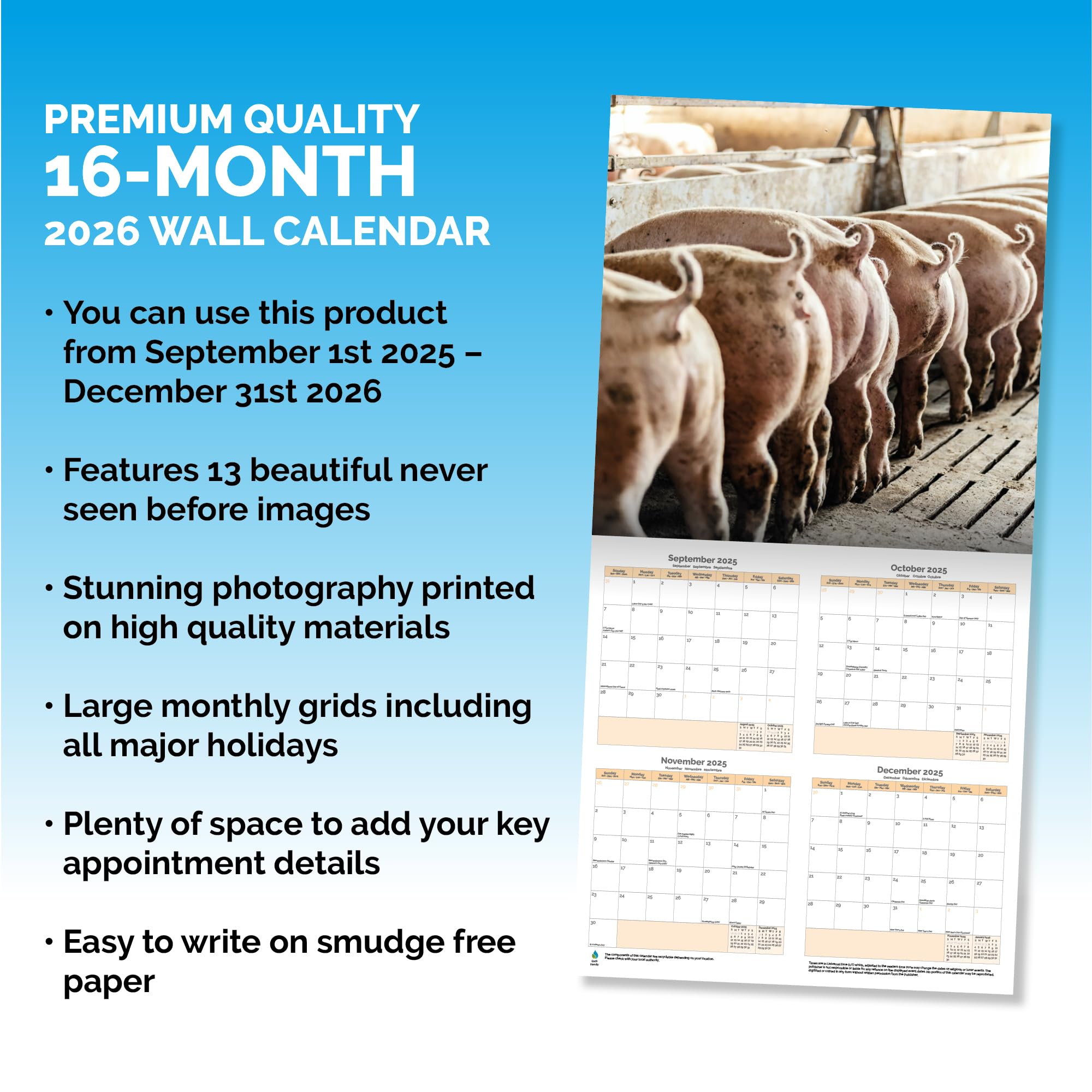 Pigs Calendar 2026
