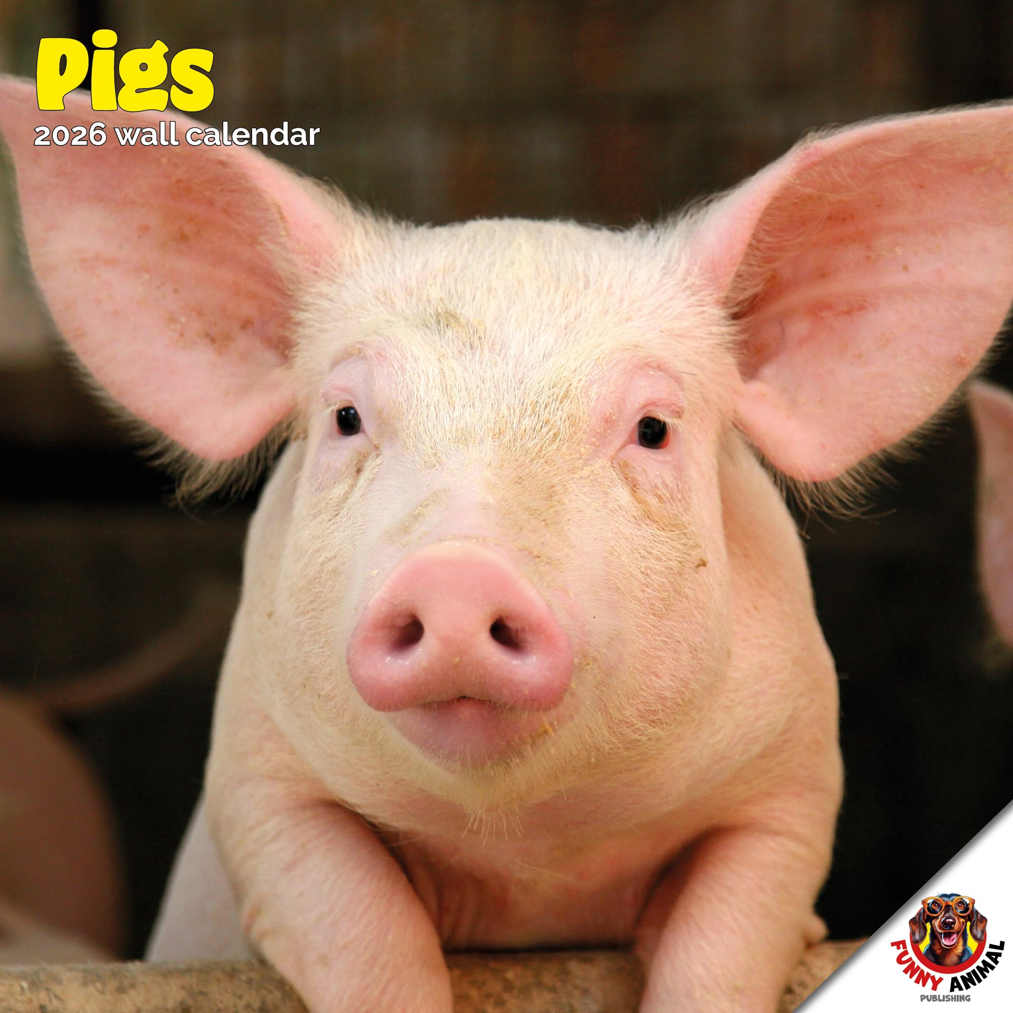 Pigs Calendar 2026