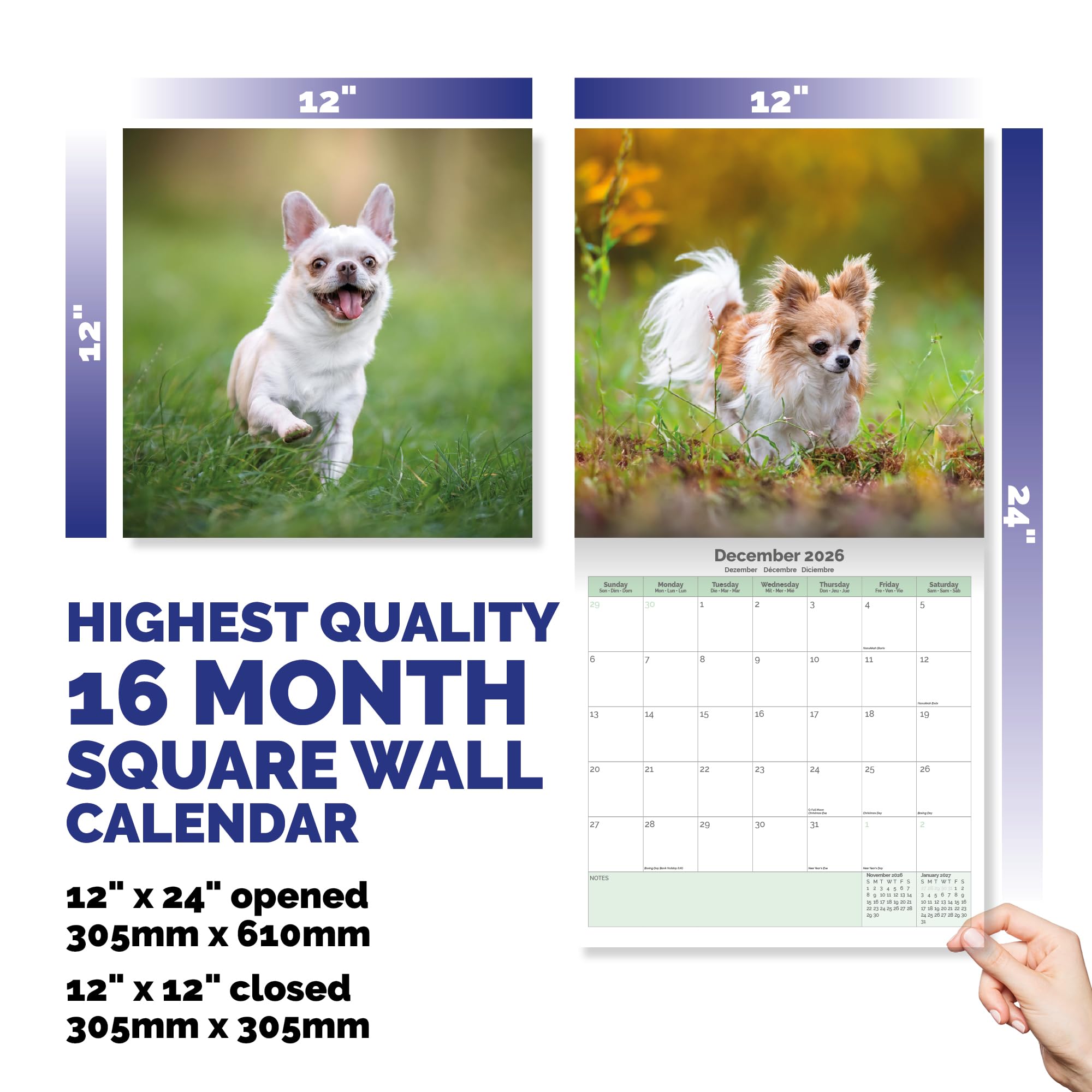 Chihuahua Calendar 2026