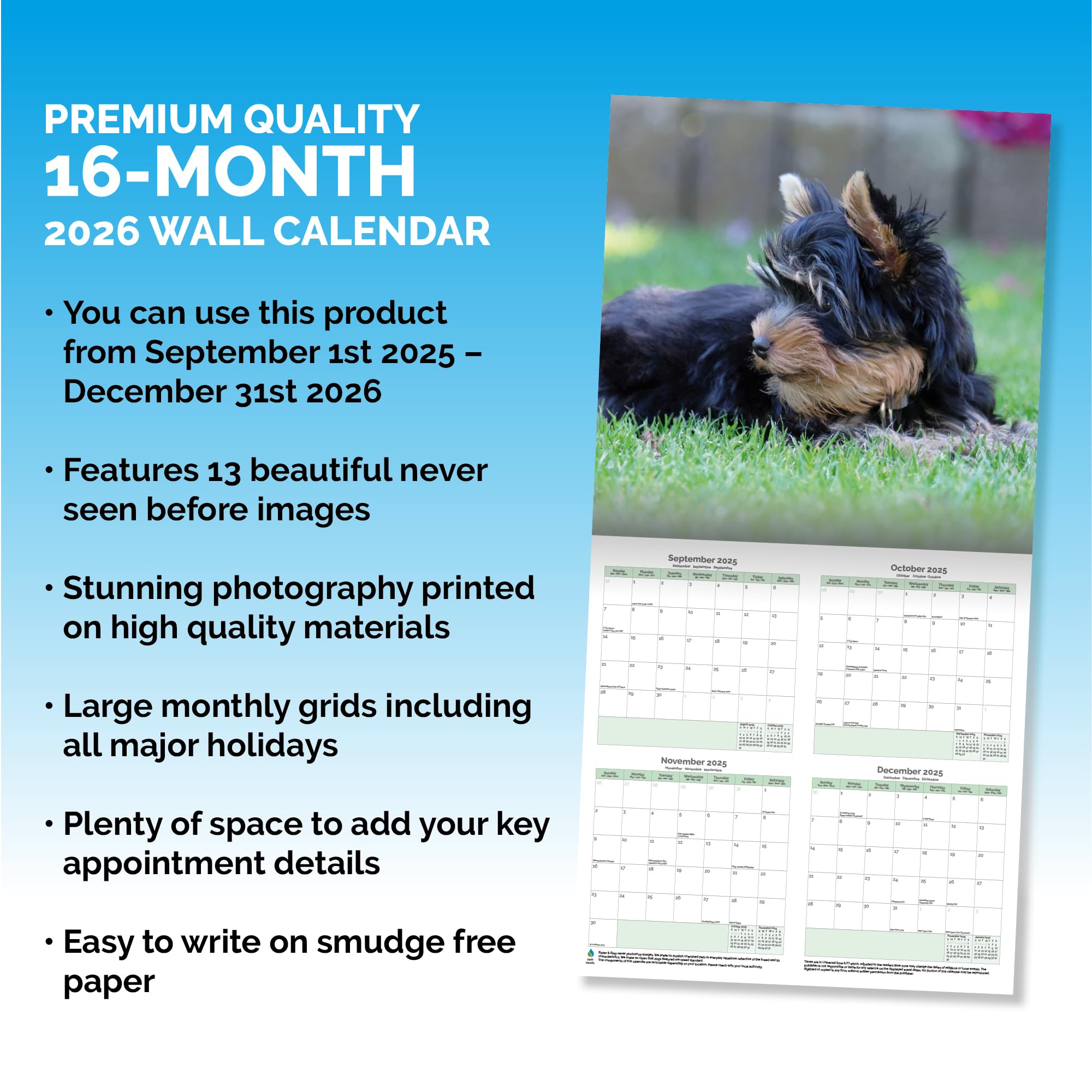 Yorkshire Terrier Calendar 2026