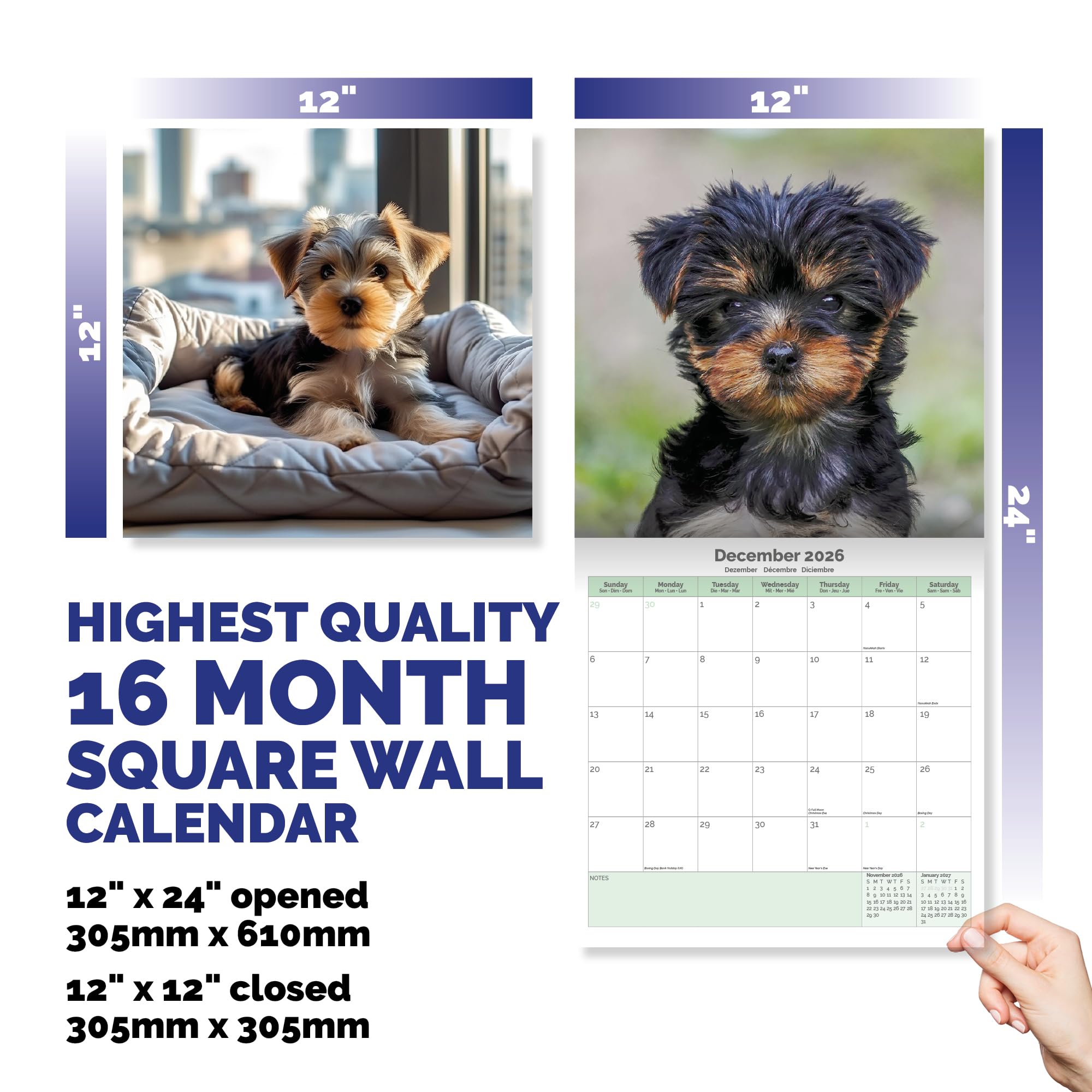 Yorkshire Terrier Calendar 2026