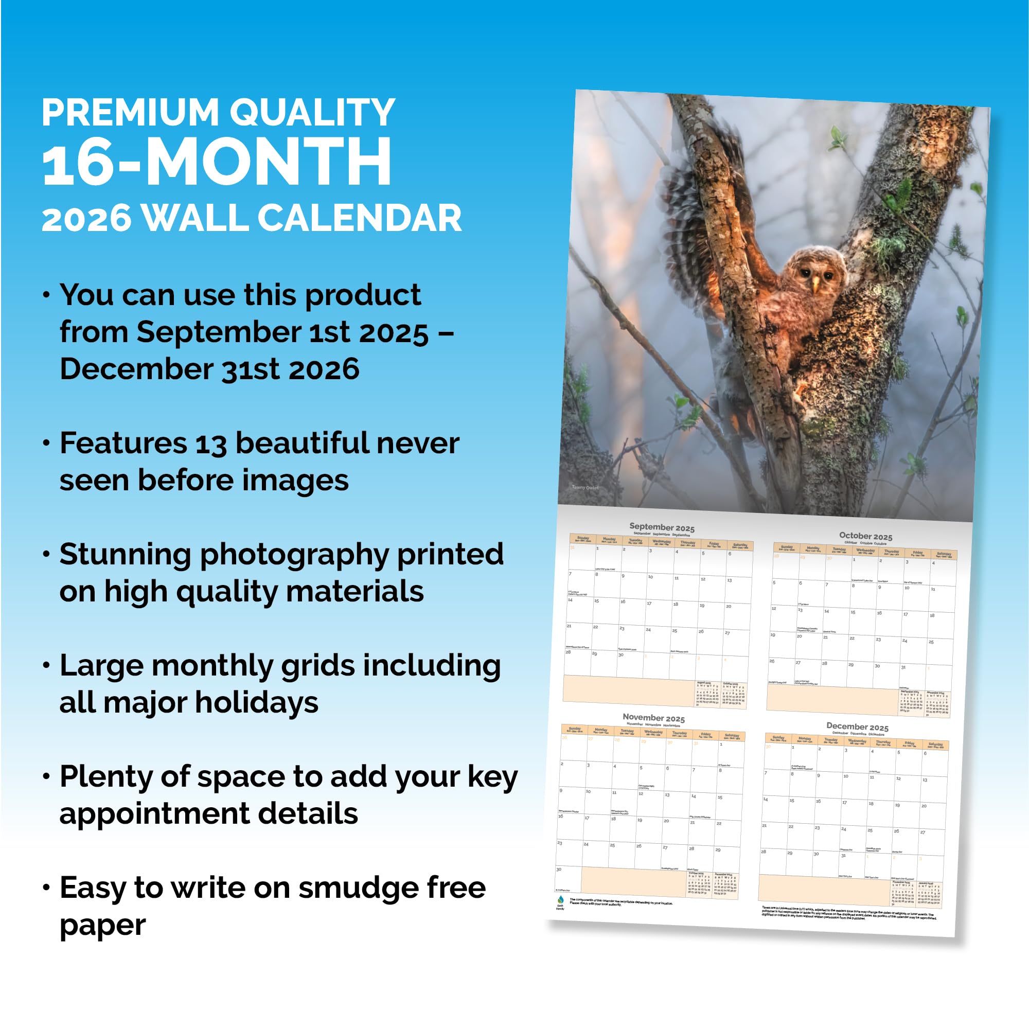 Owls Calendar 2026