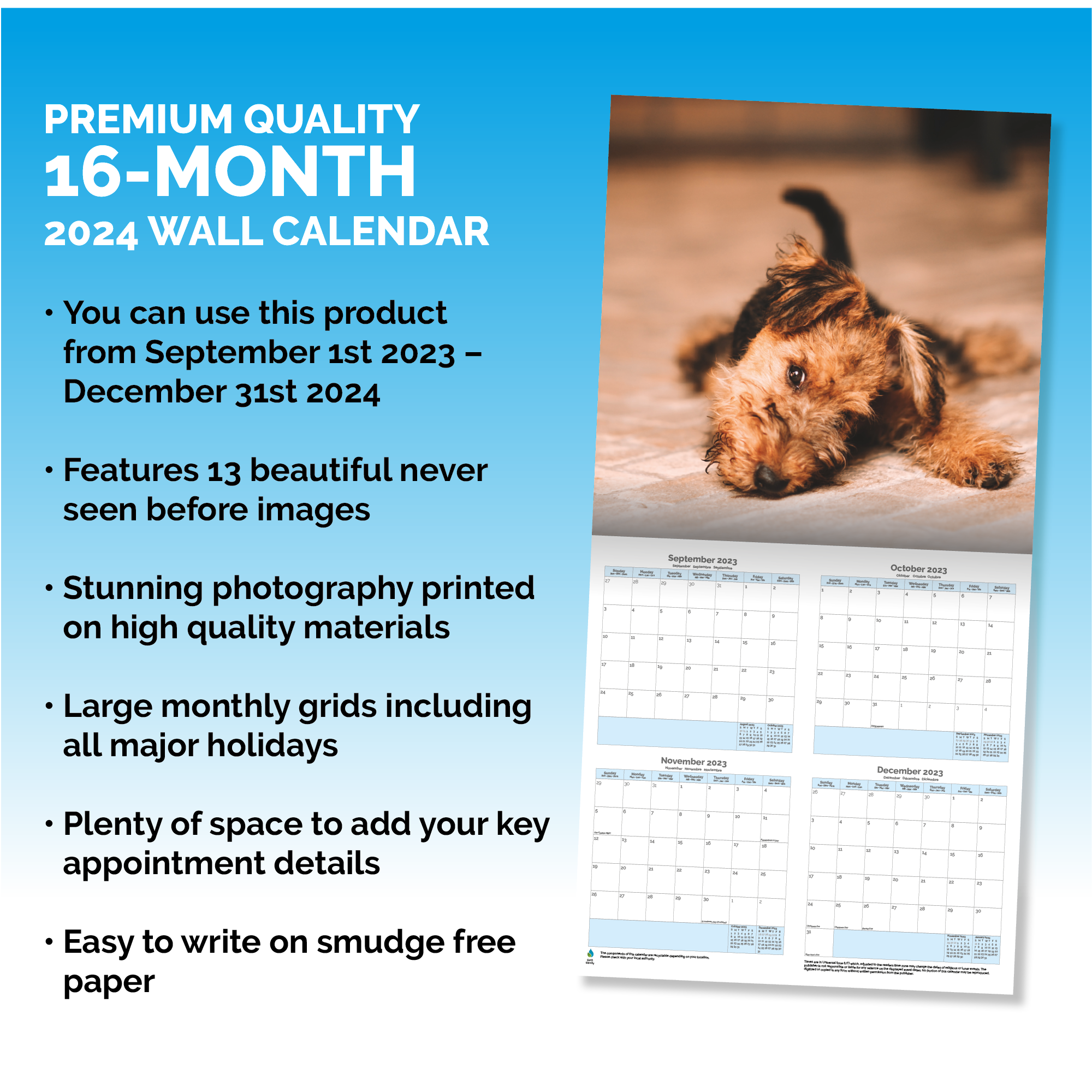 Airedale Terrier Calendar 2024