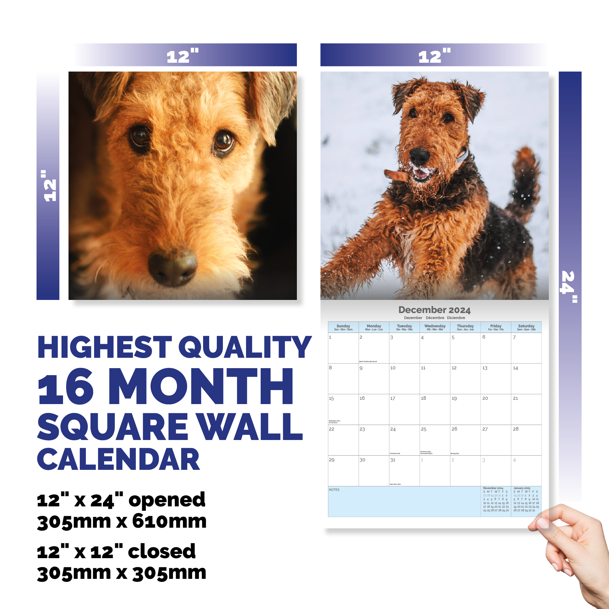 Airedale Terrier Calendar 2024
