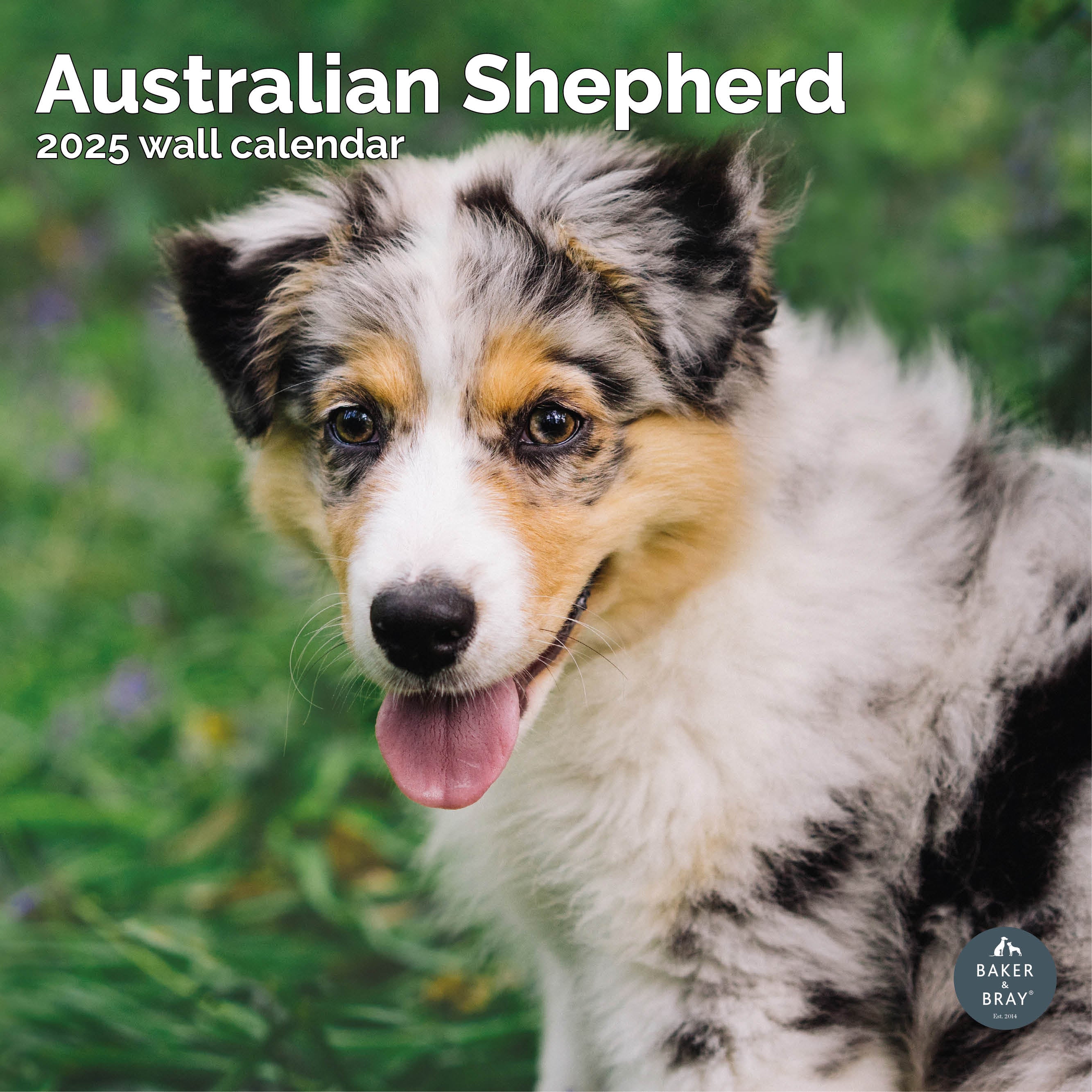 Dog Calendar 2025 Cat Calendar 2025 Animal Calendar 2025