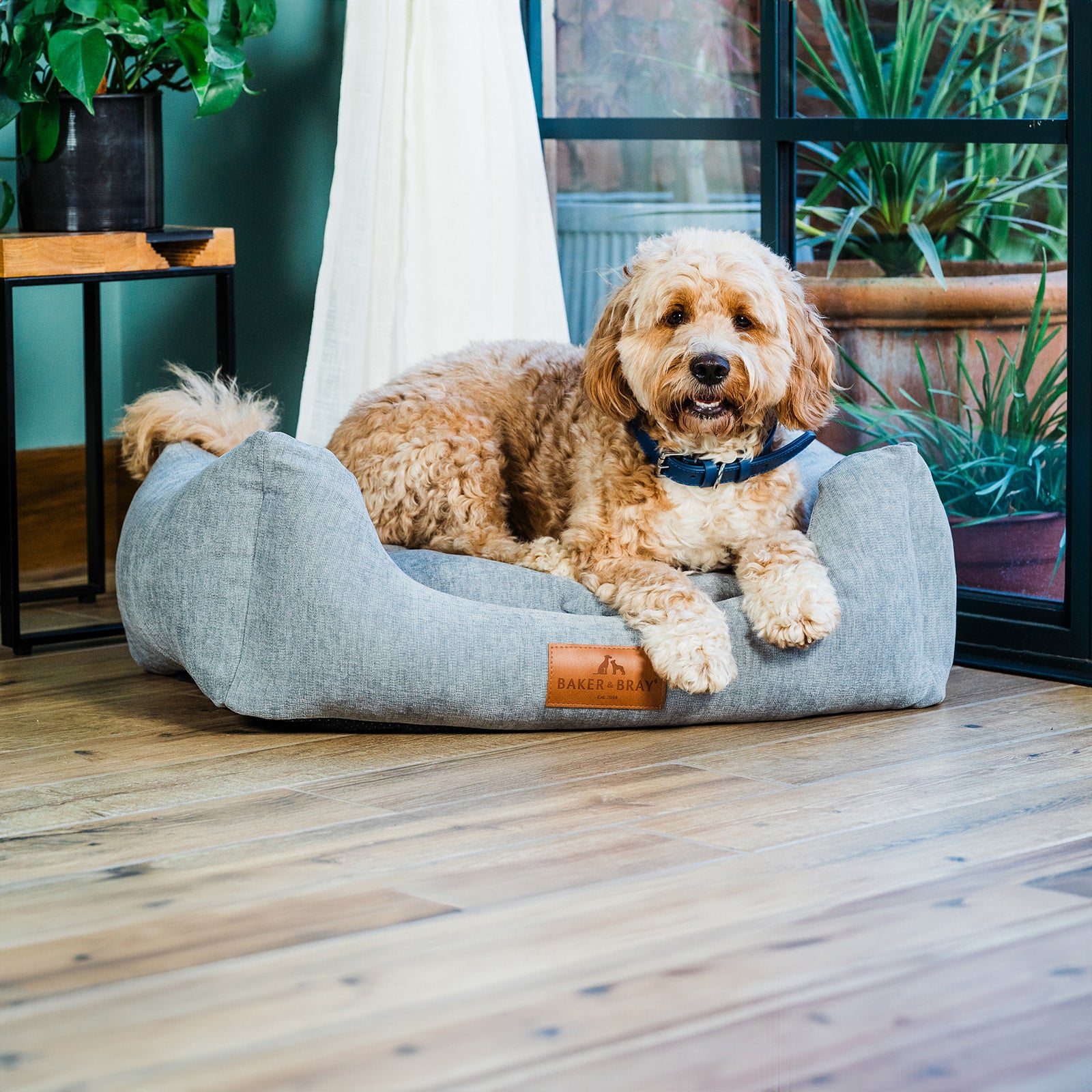 Eco Luxe Orthopaedic Luxury Dog Bed, Stone Grey