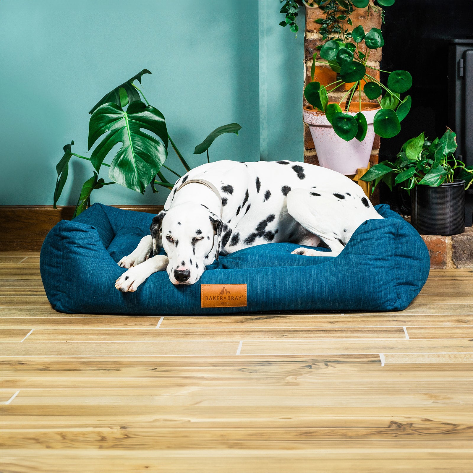 Eco Luxe Orthopaedic Luxury Dog Bed, Teal Blue-Green