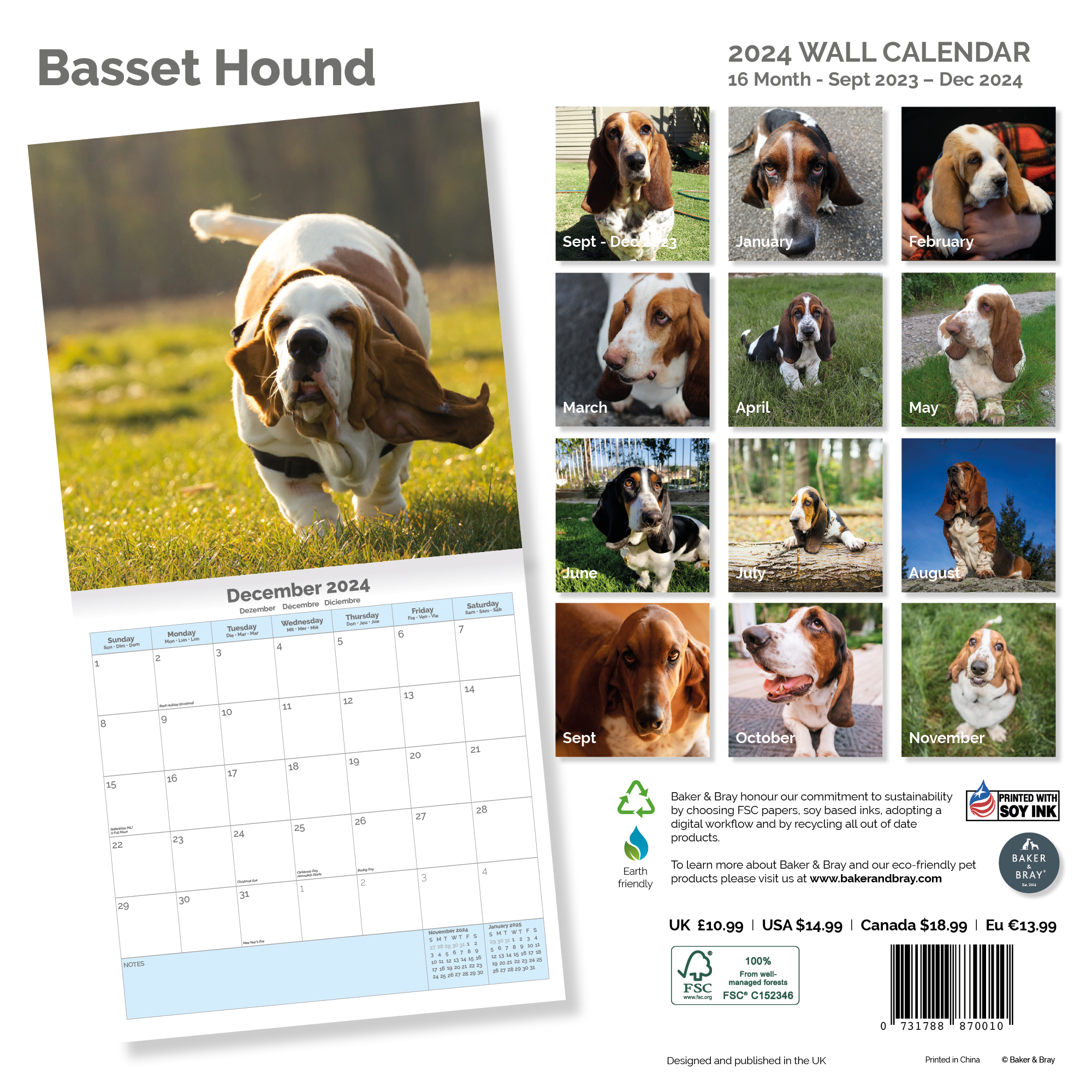 Basset Hound Calendar 2024