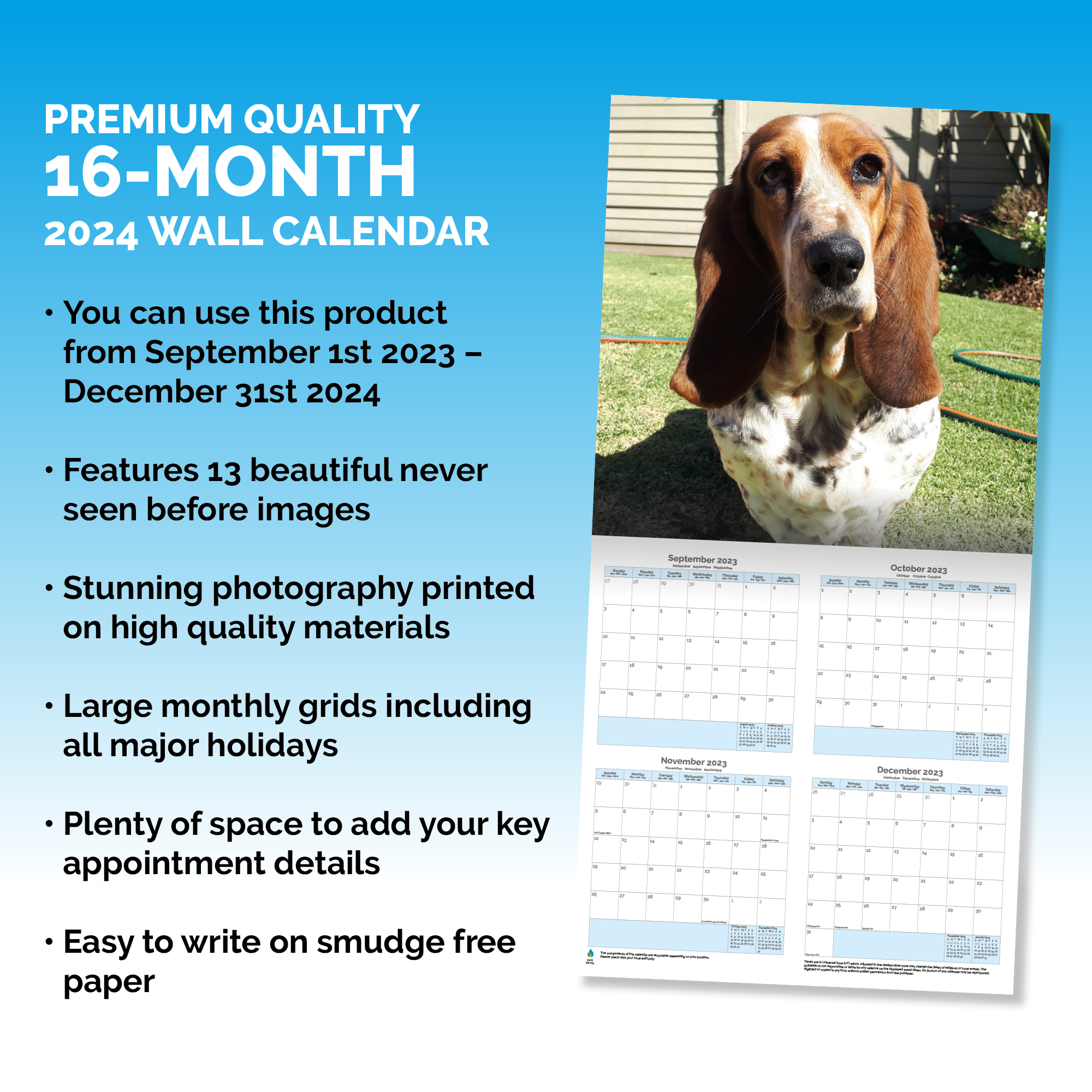 Basset Hound Calendar 2024