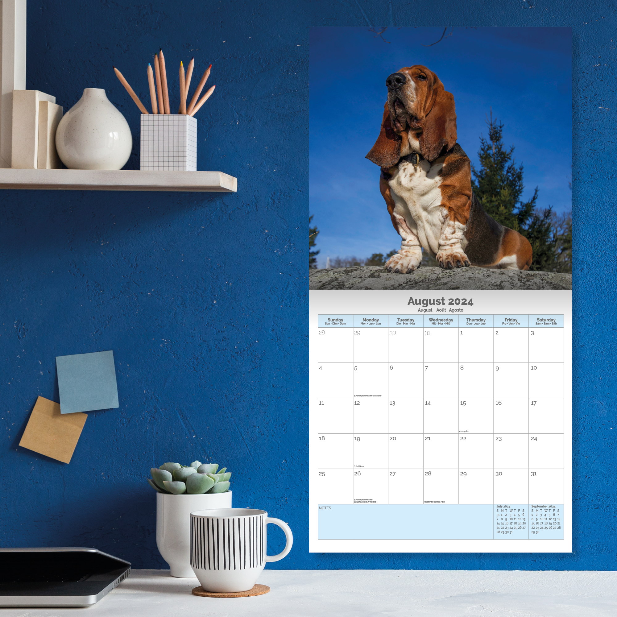 Basset Hound Calendar 2024