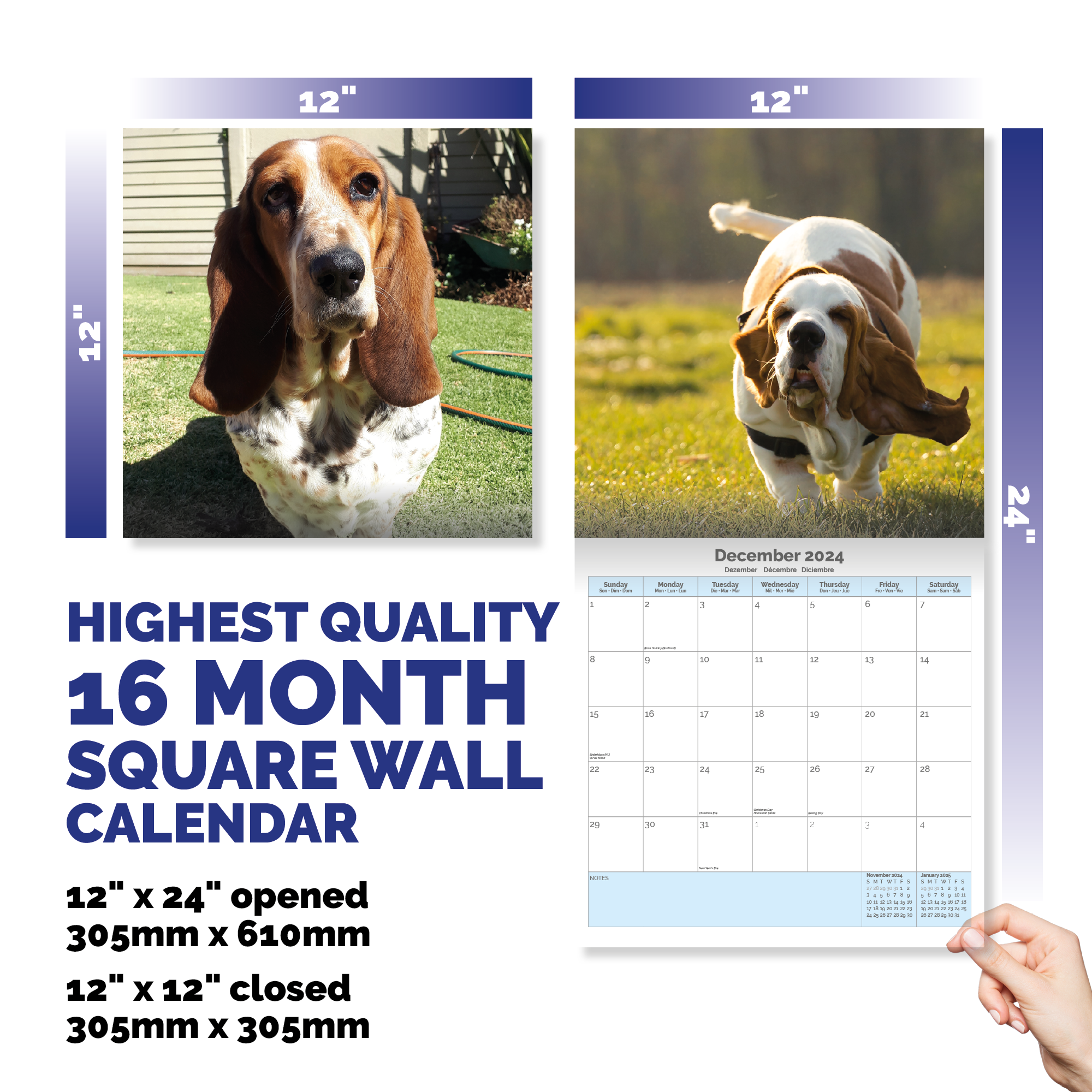 Basset Hound Calendar 2024