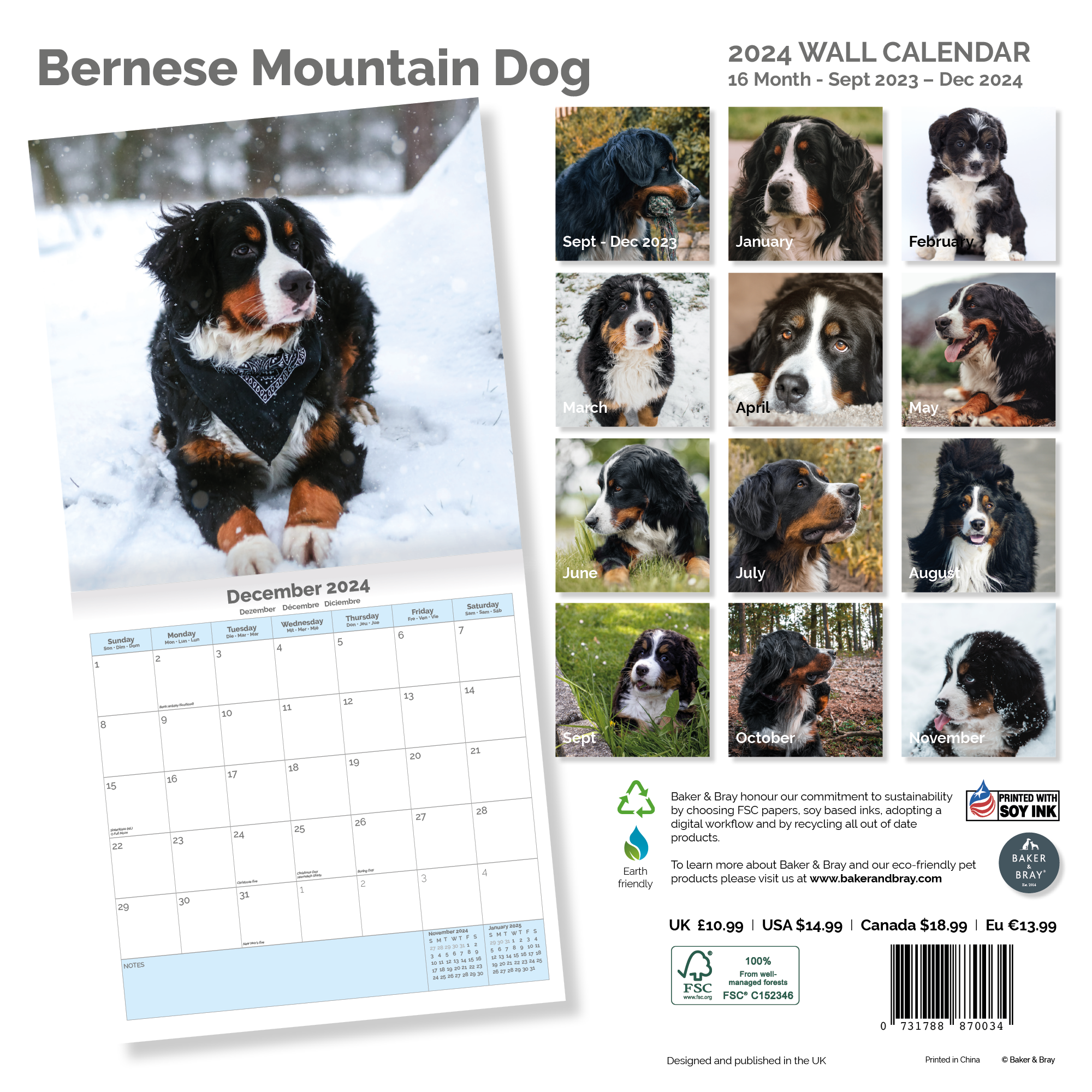 Bernese Mountain Dog Calendar 2024
