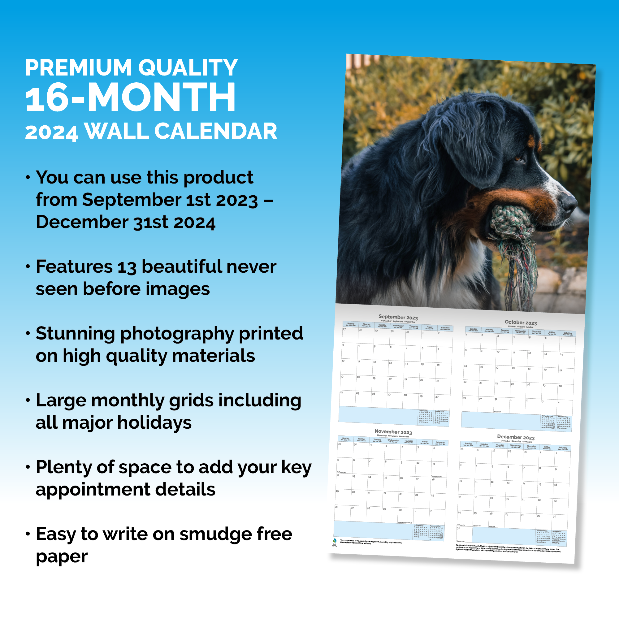 Bernese Mountain Dog Calendar 2024