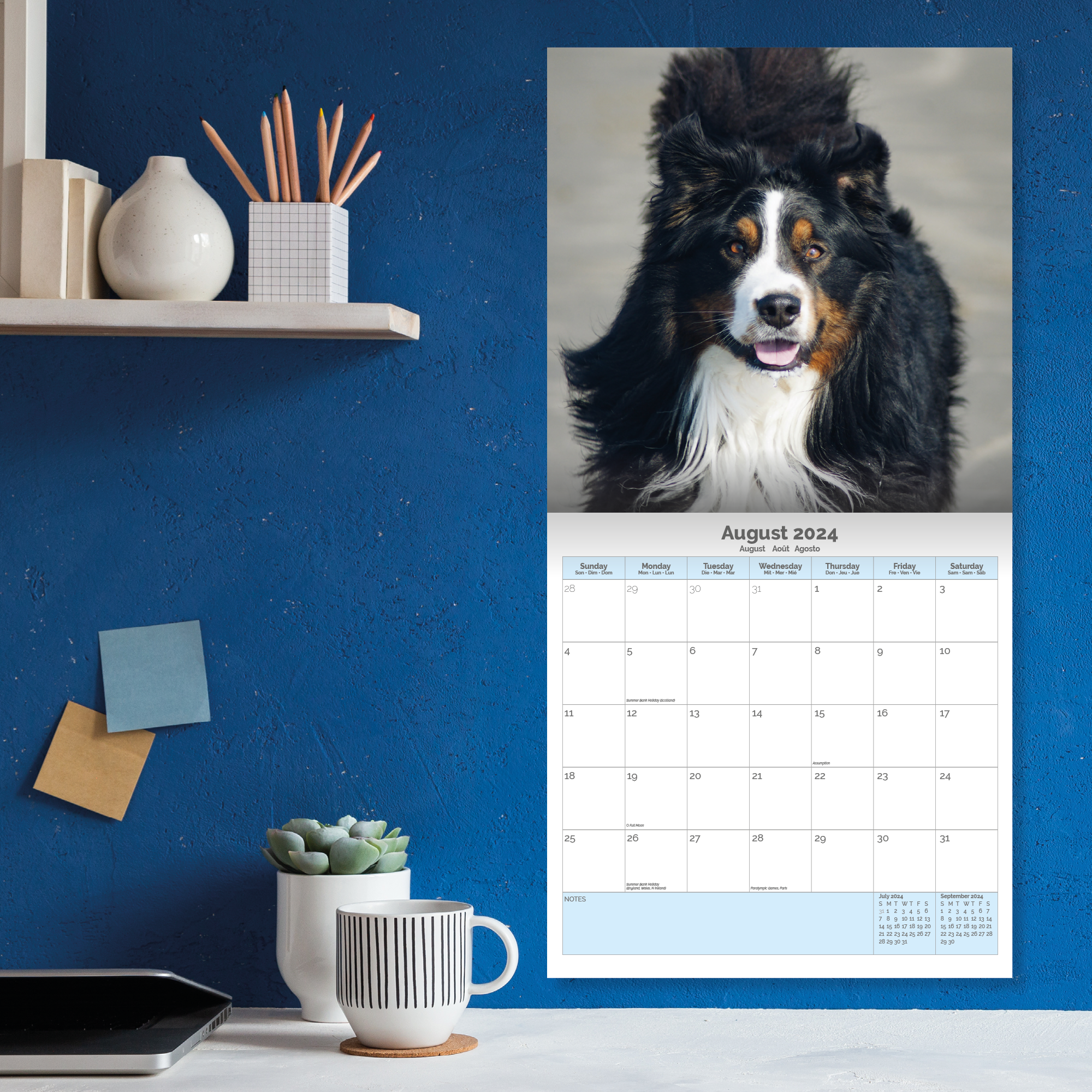 Bernese Mountain Dog Calendar 2024