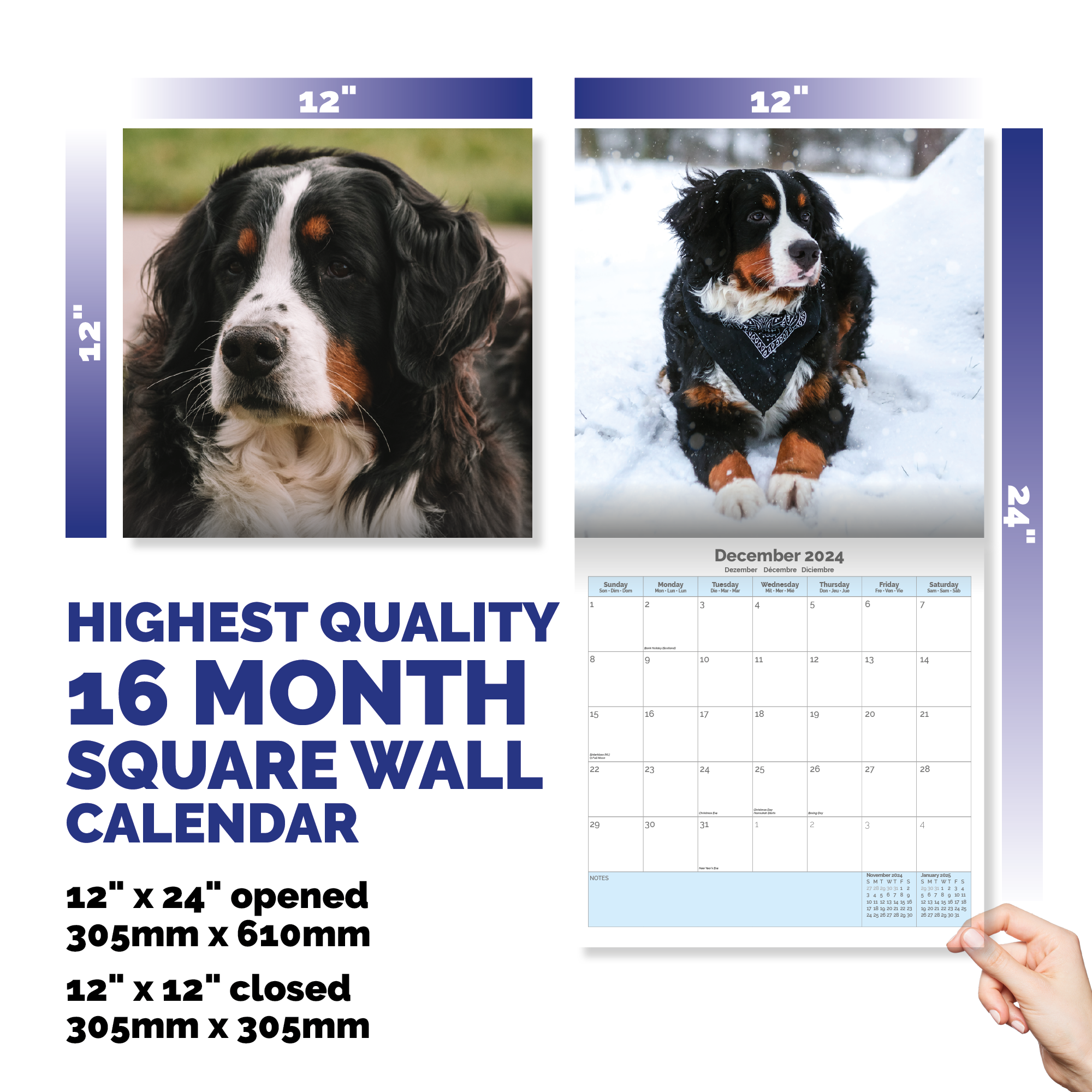 Bernese Mountain Dog Calendar 2024