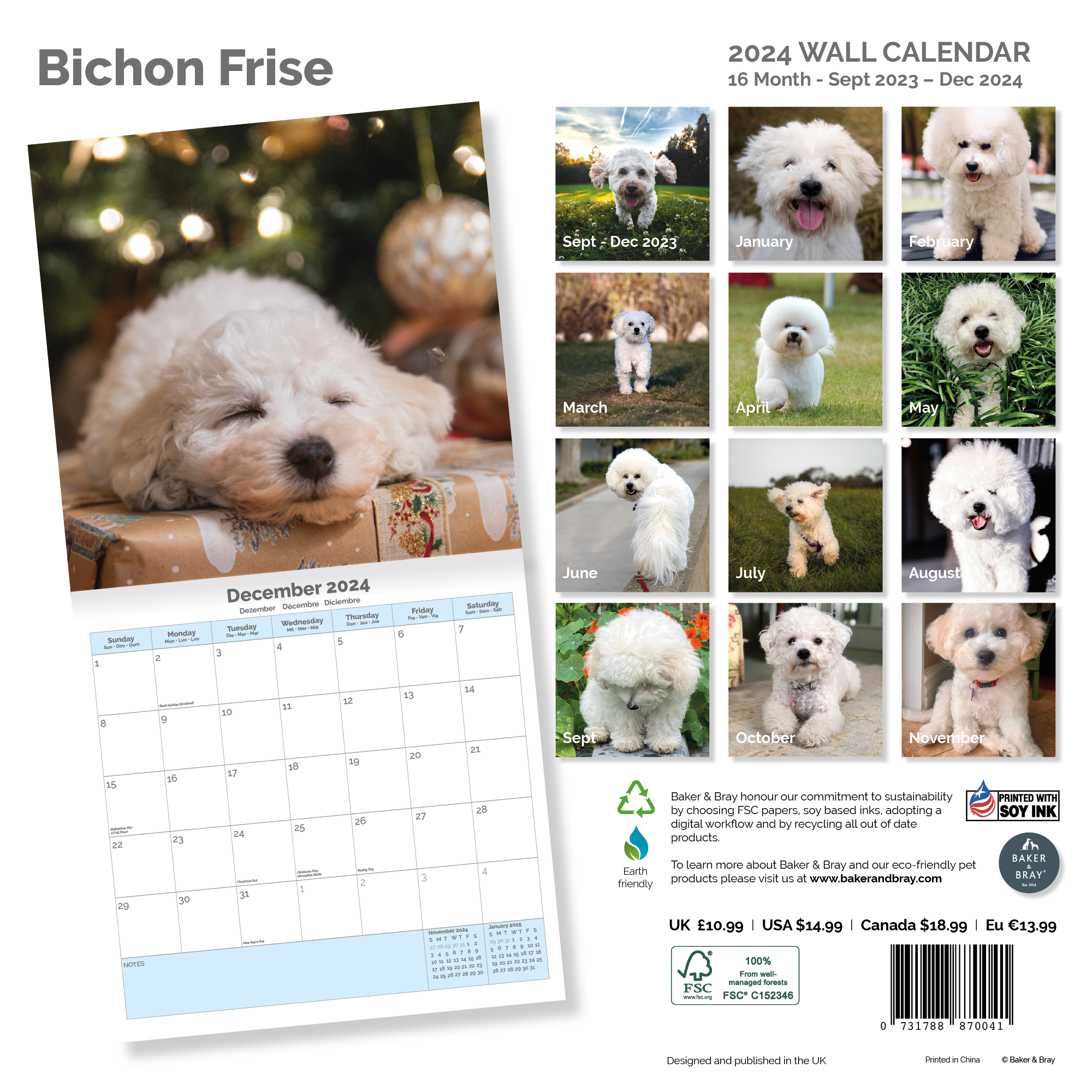 Bichon Frise Calendar 2024