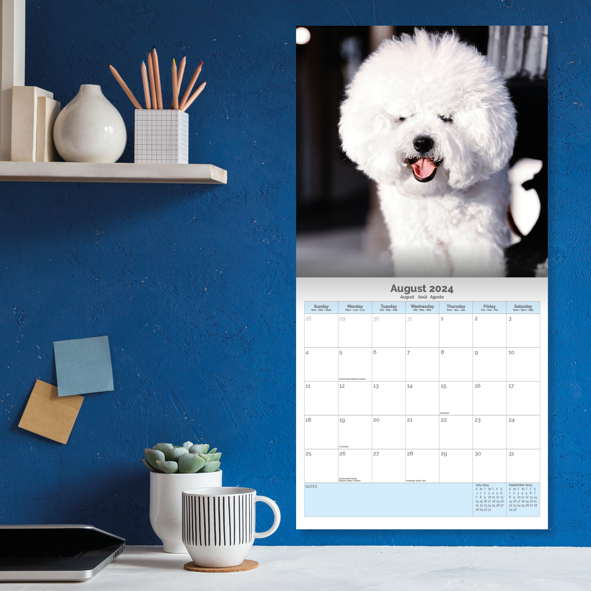 2023 2024 Bichon Frise Calendar - Dog Breed Monthly Wall Calendar - 12 x 24  Open - Thick No-Bleed Paper - Giftable - Academic Teacher's Planner