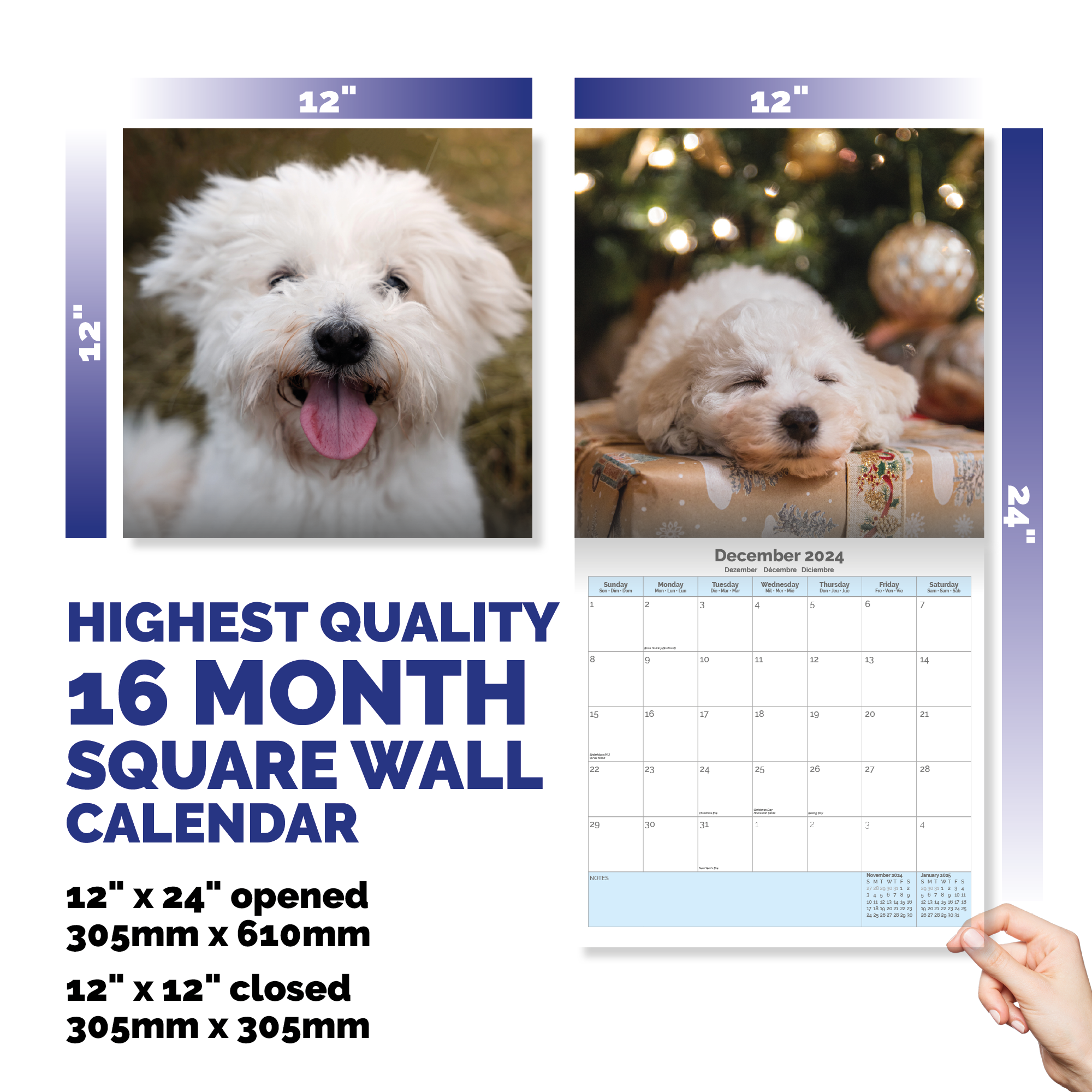 Bichon Frise Calendar 2024