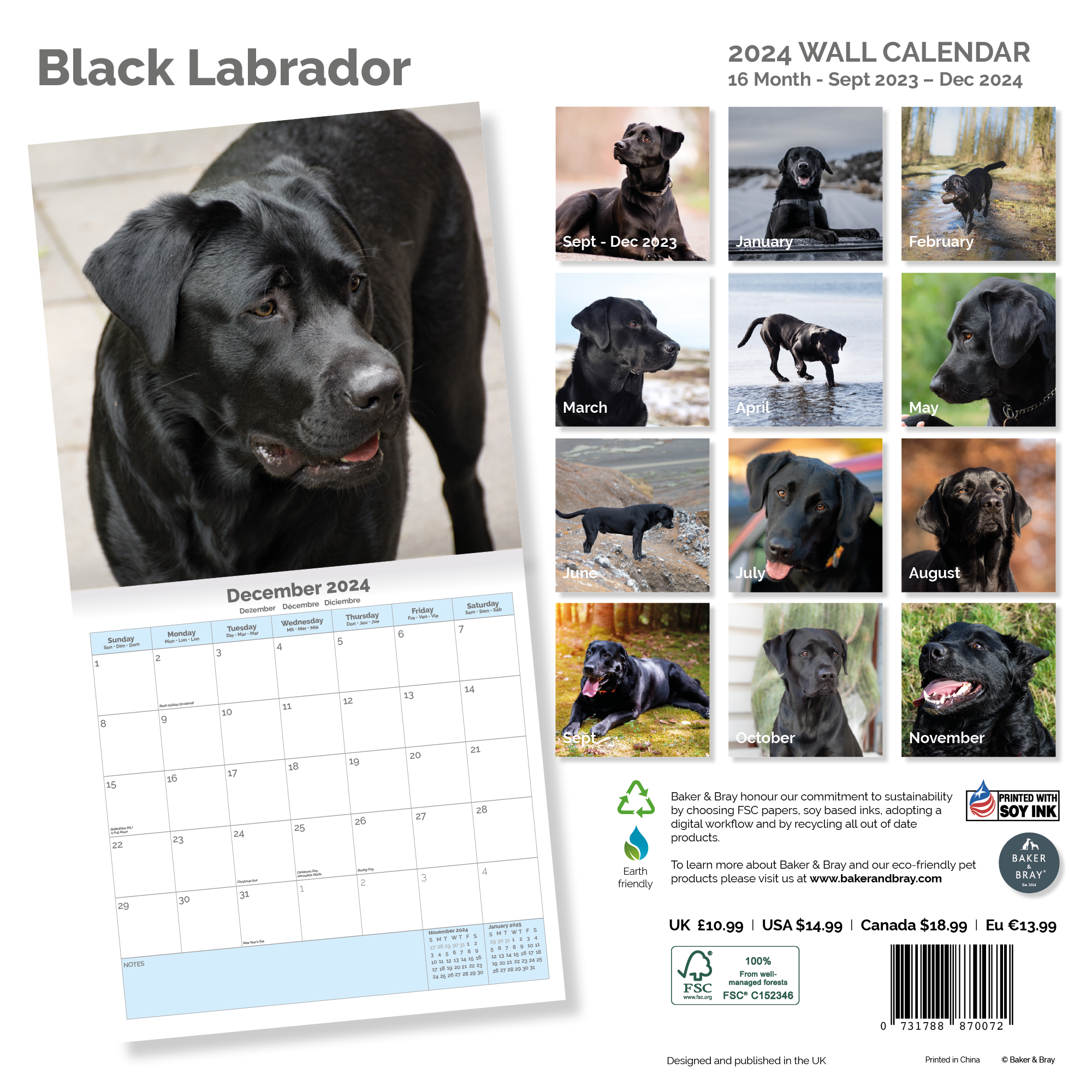 Black Labrador Retriever Calendar 2024