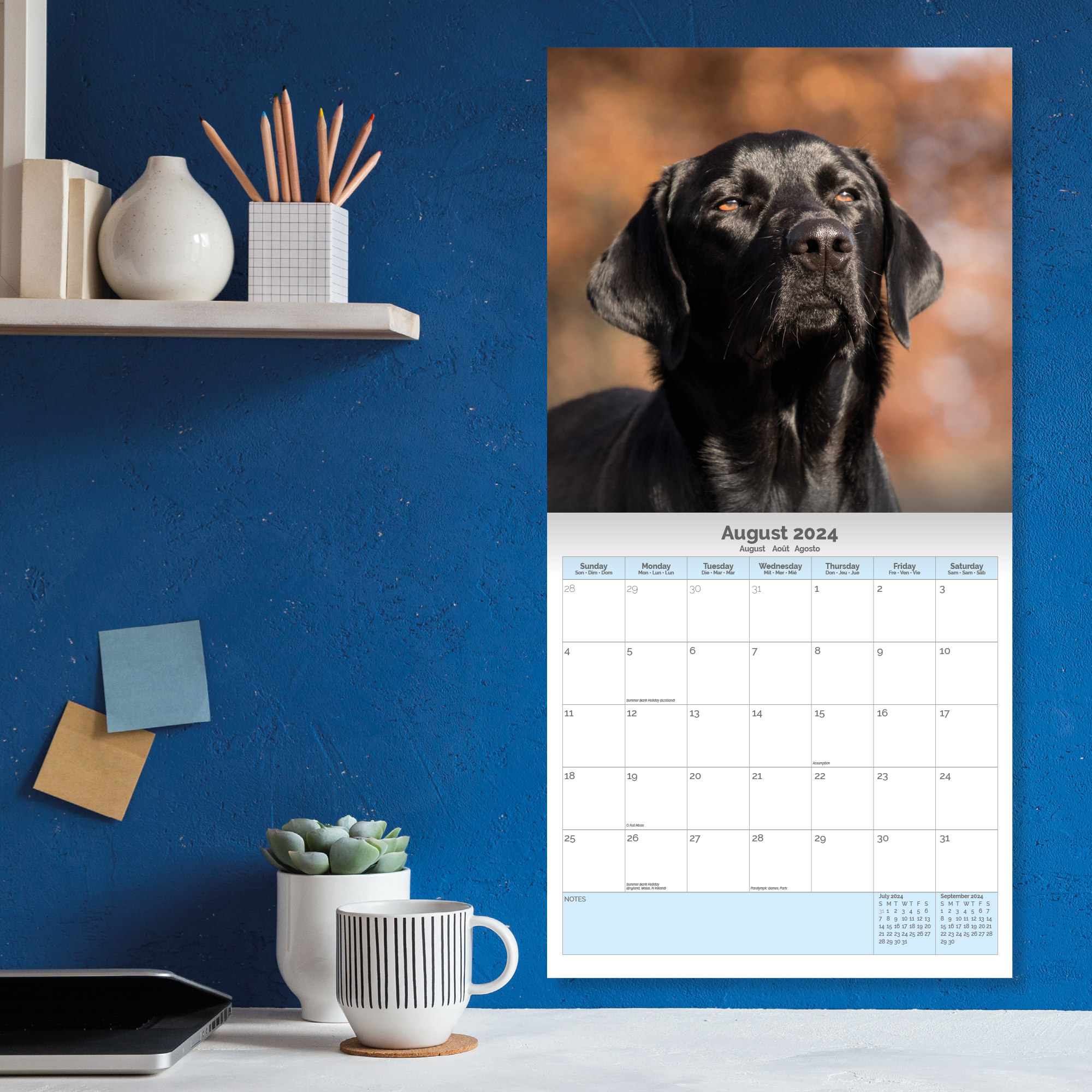 Black Labrador Retriever Calendar 2024
