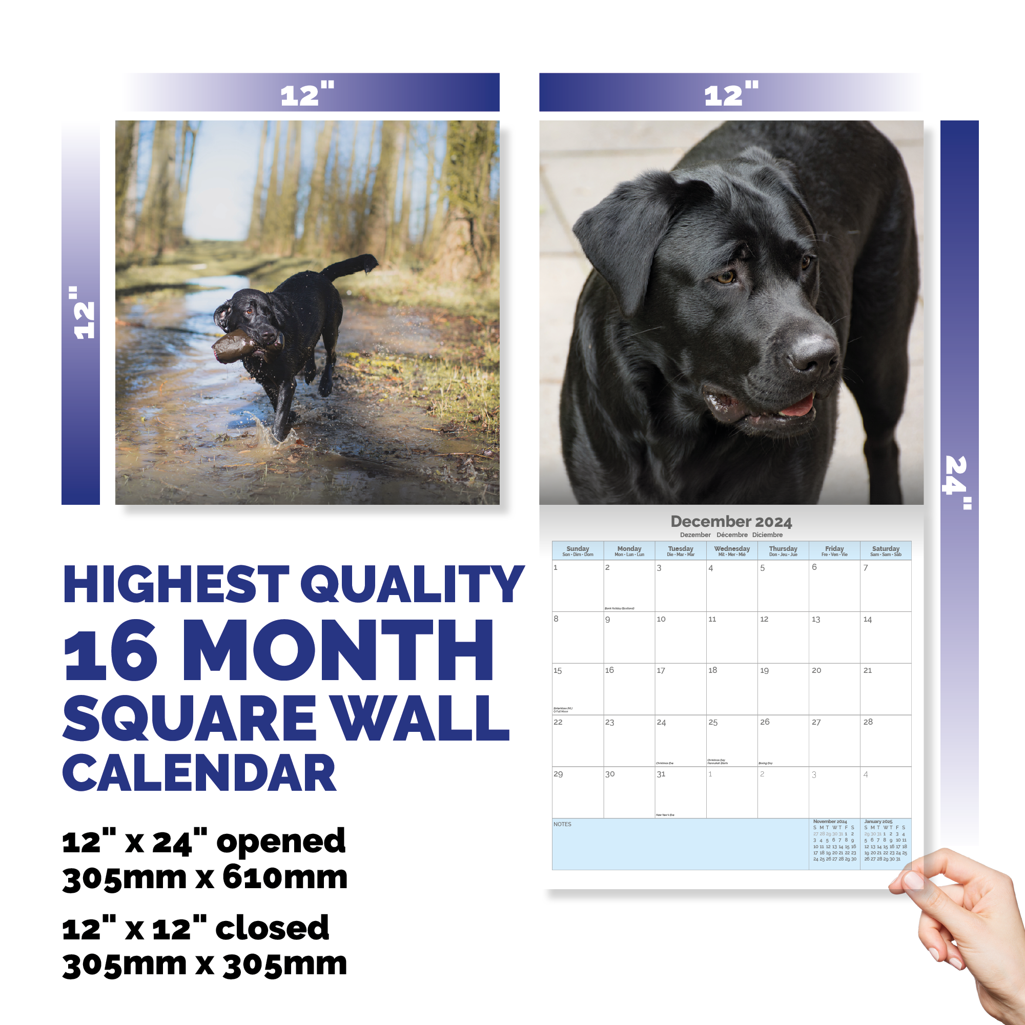 Black Labrador Retriever Calendar 2024