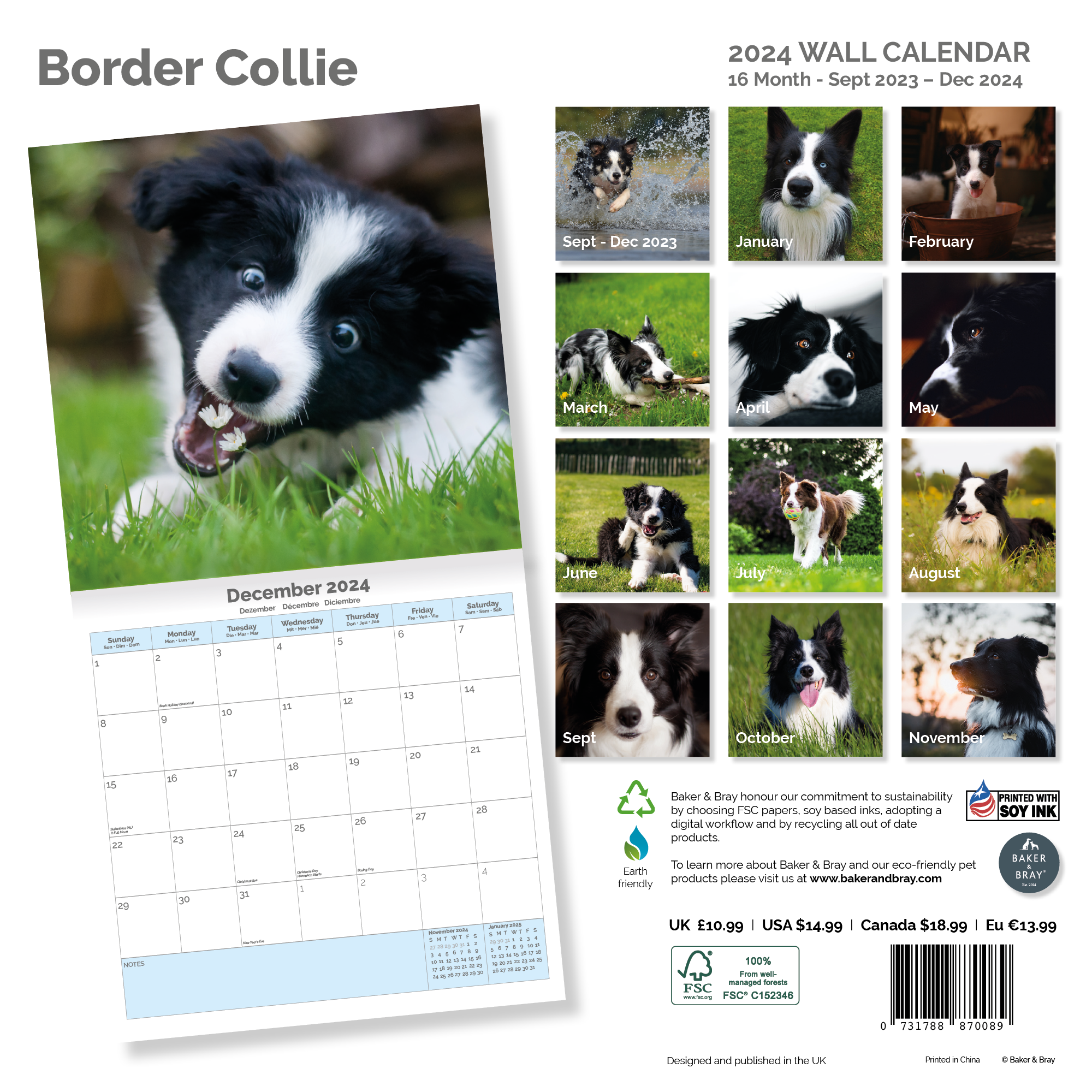 Border Collie Calendar 2024