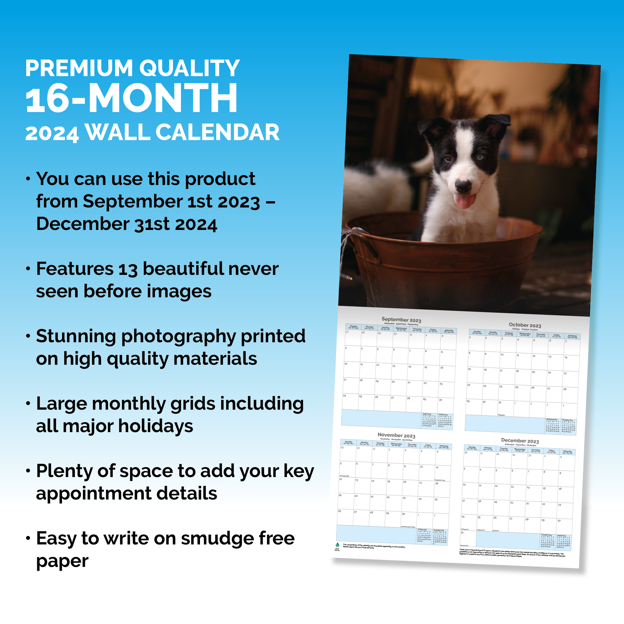 Border Collie Puppies Calendar 2024