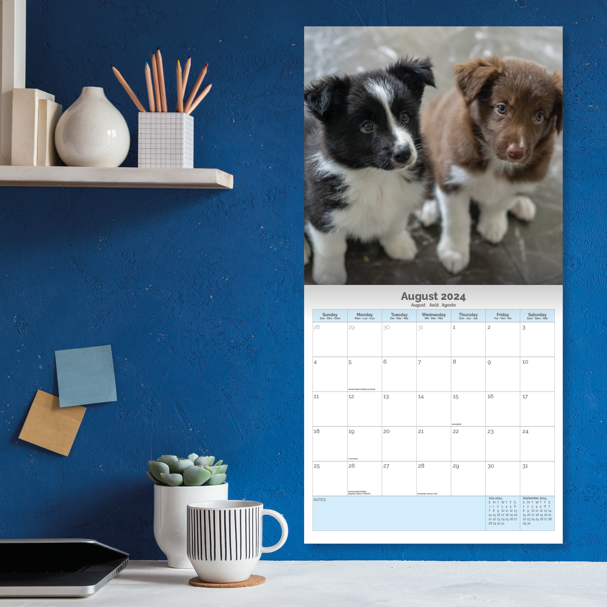 Border Collie Puppies Calendar 2024