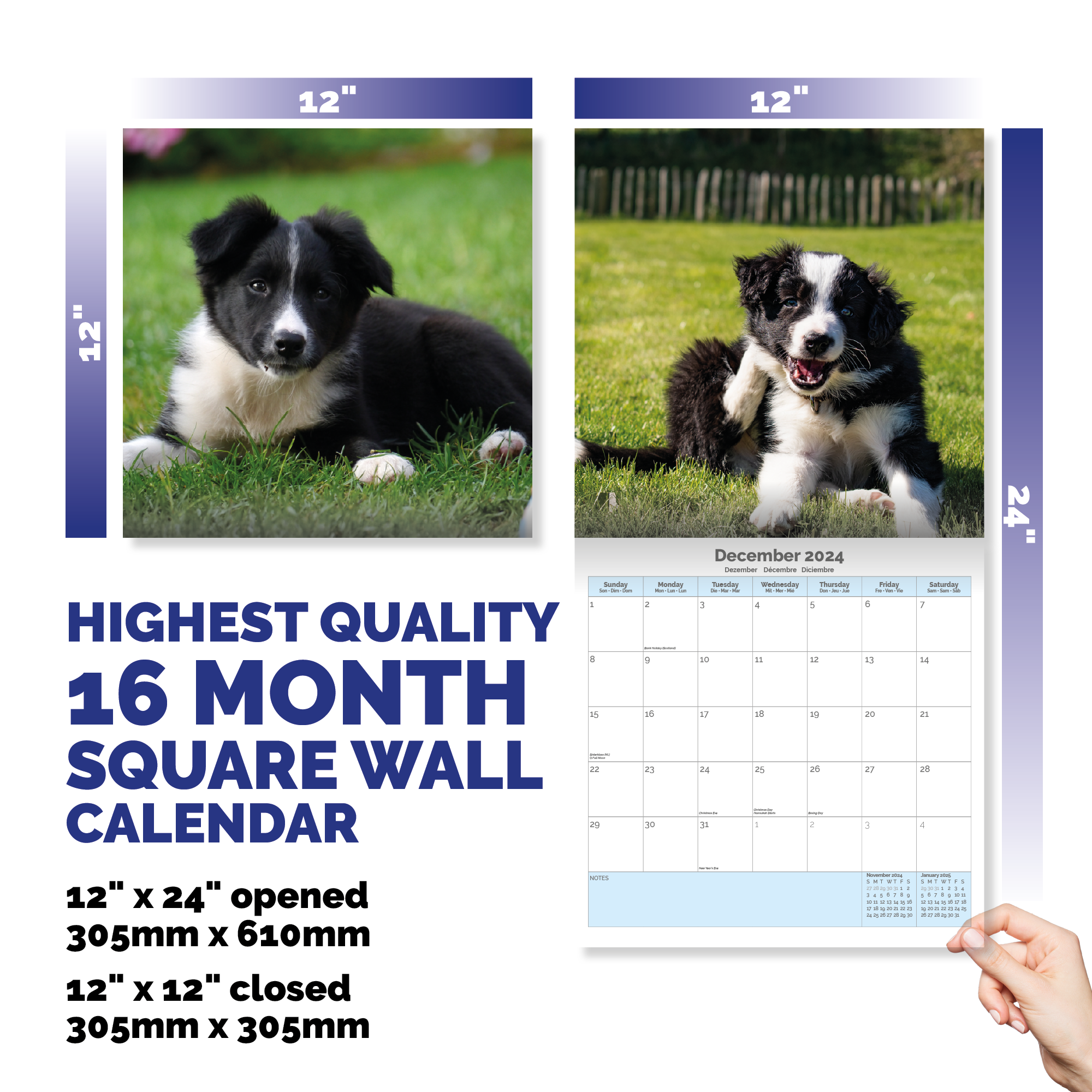 Border Collie Puppies Calendar 2024