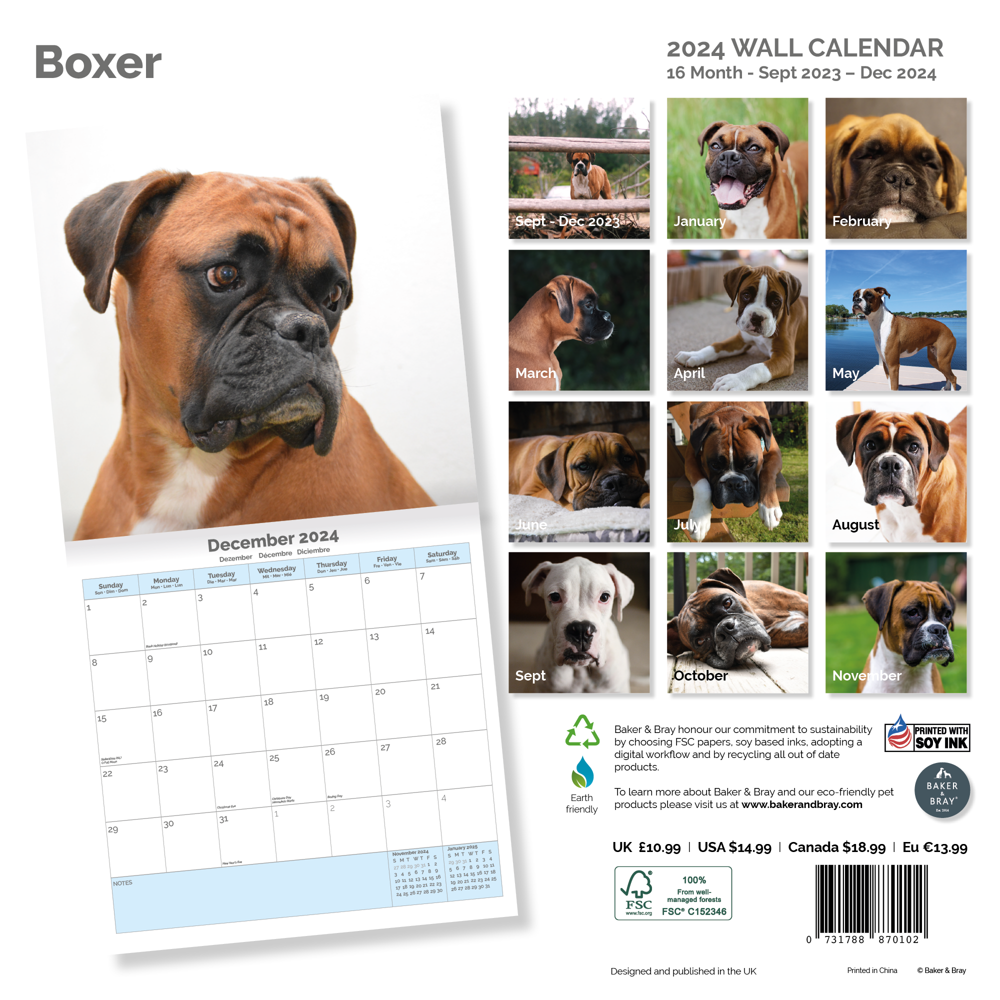 Boxer Calendar 2024